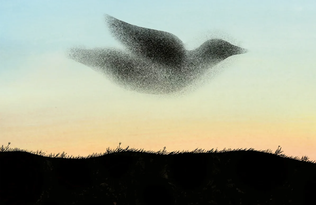 Your Brain on Grief, Your Heart on Healing