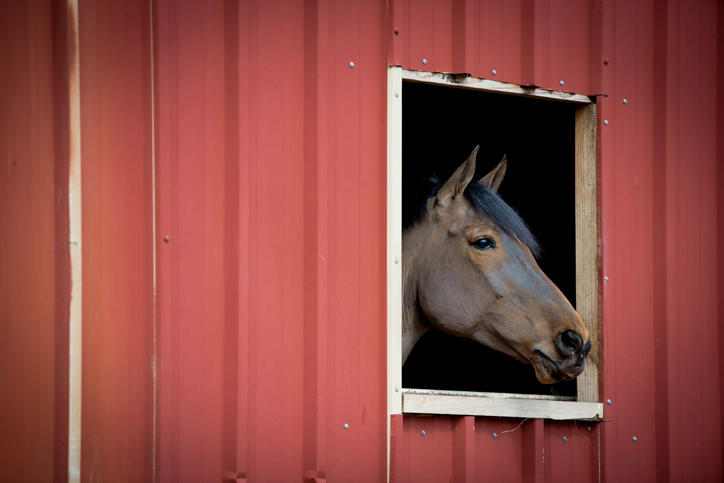 28-Penny Red Barn.JPG