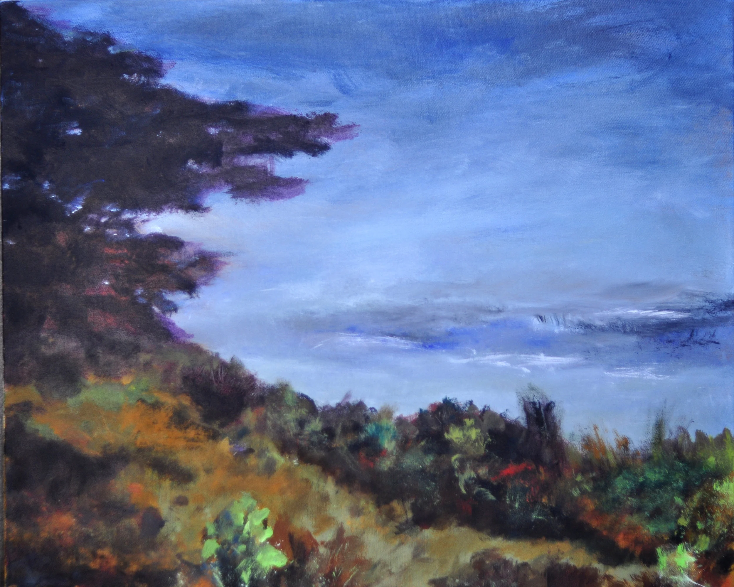 Cambria Morning 