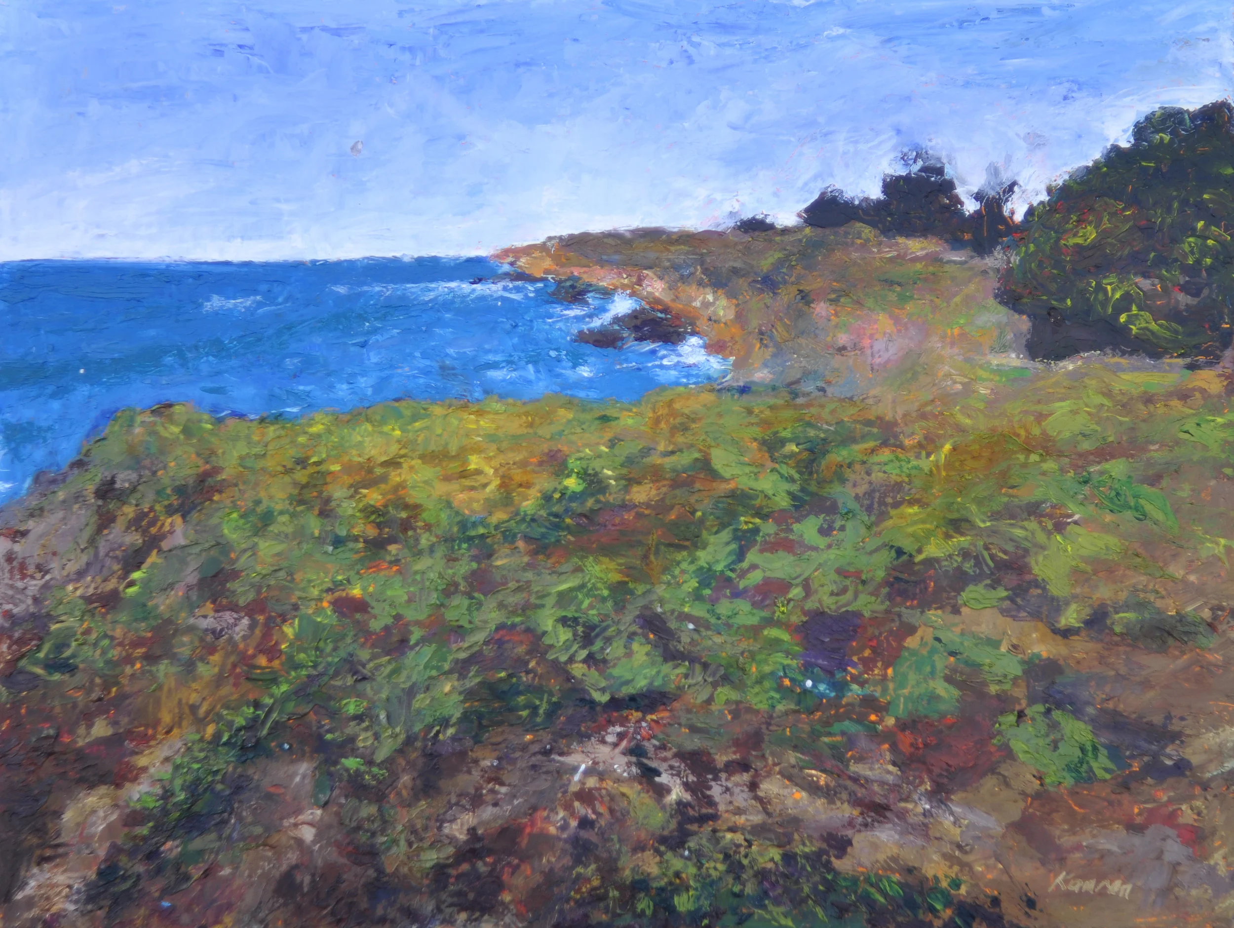 Cambria Bluffs 