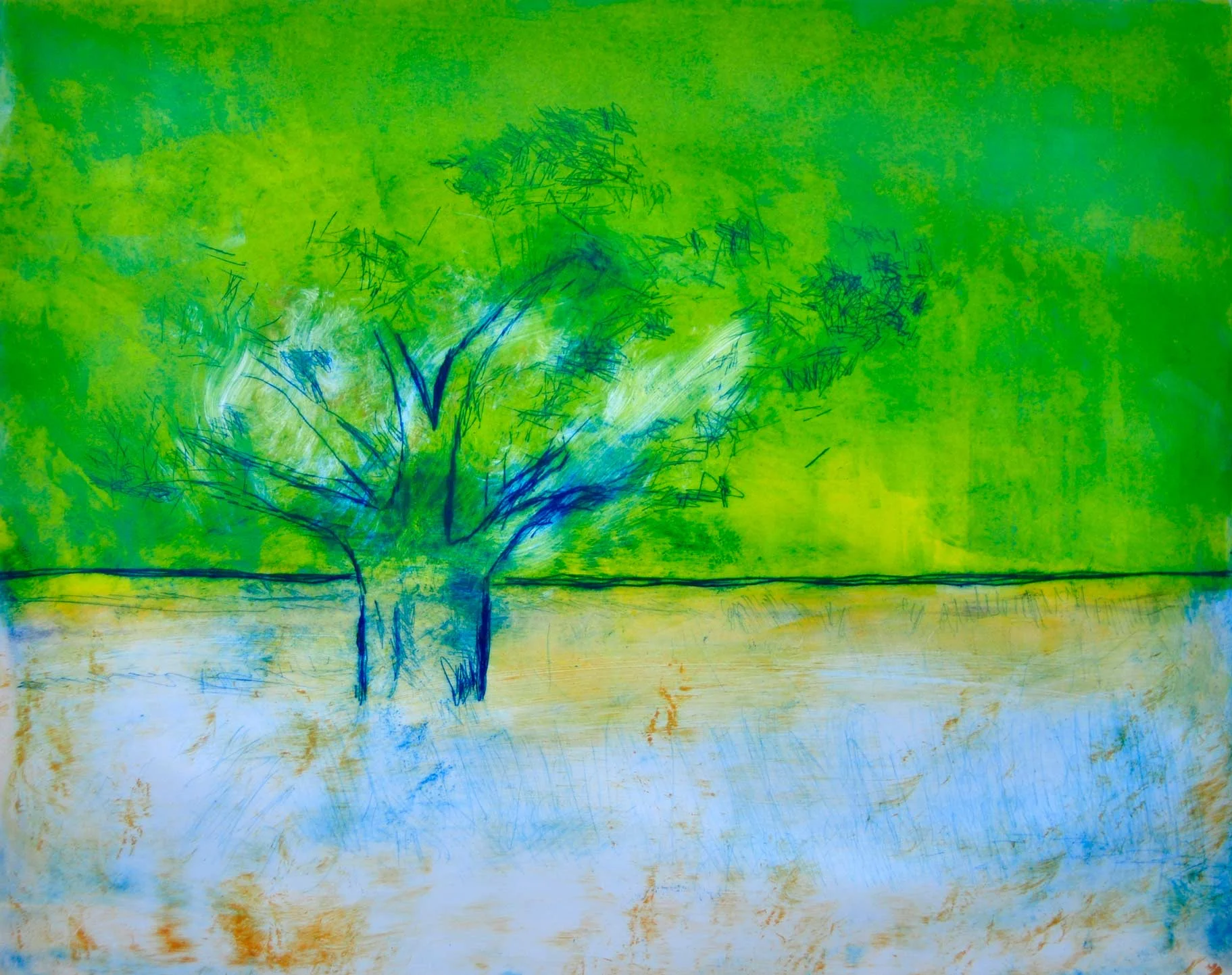 Monsoon Baobab 