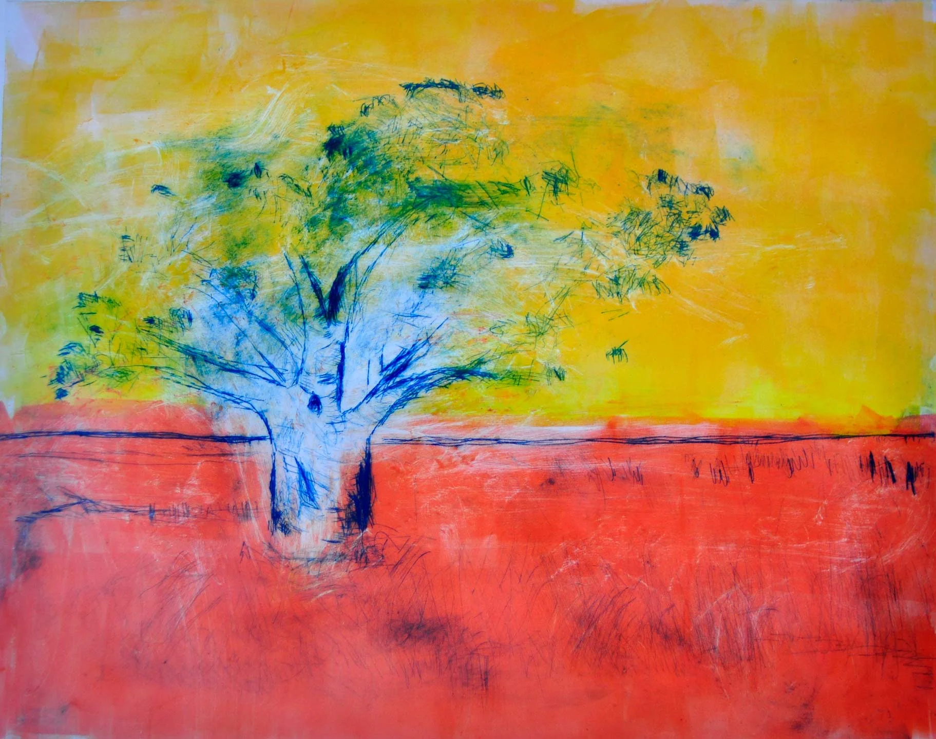 Baobab Sunrise 