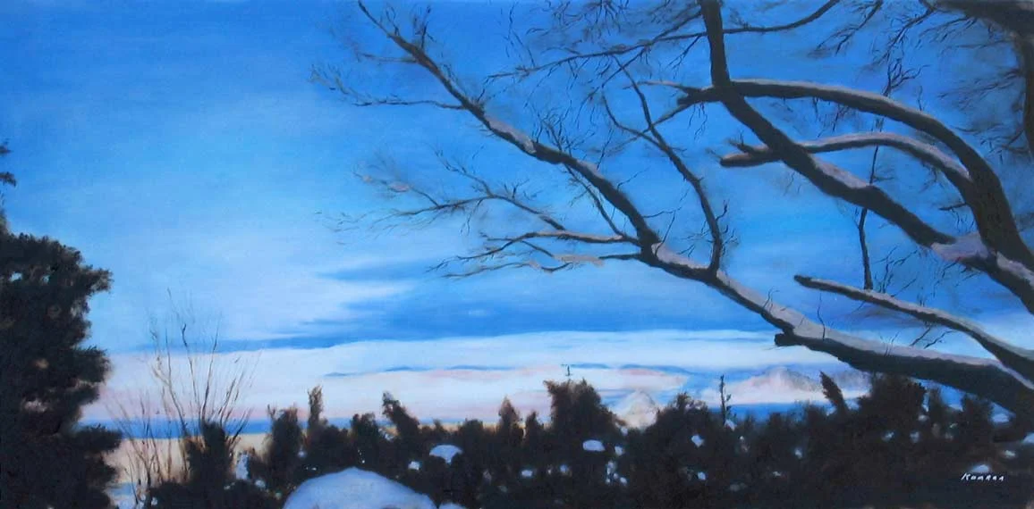 Snow Desert 