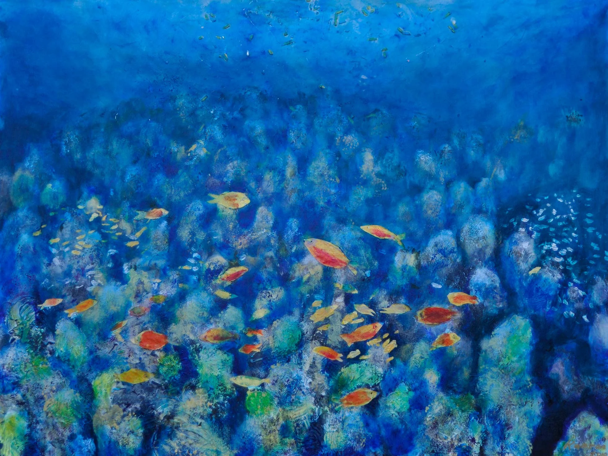 Catalina Reef 