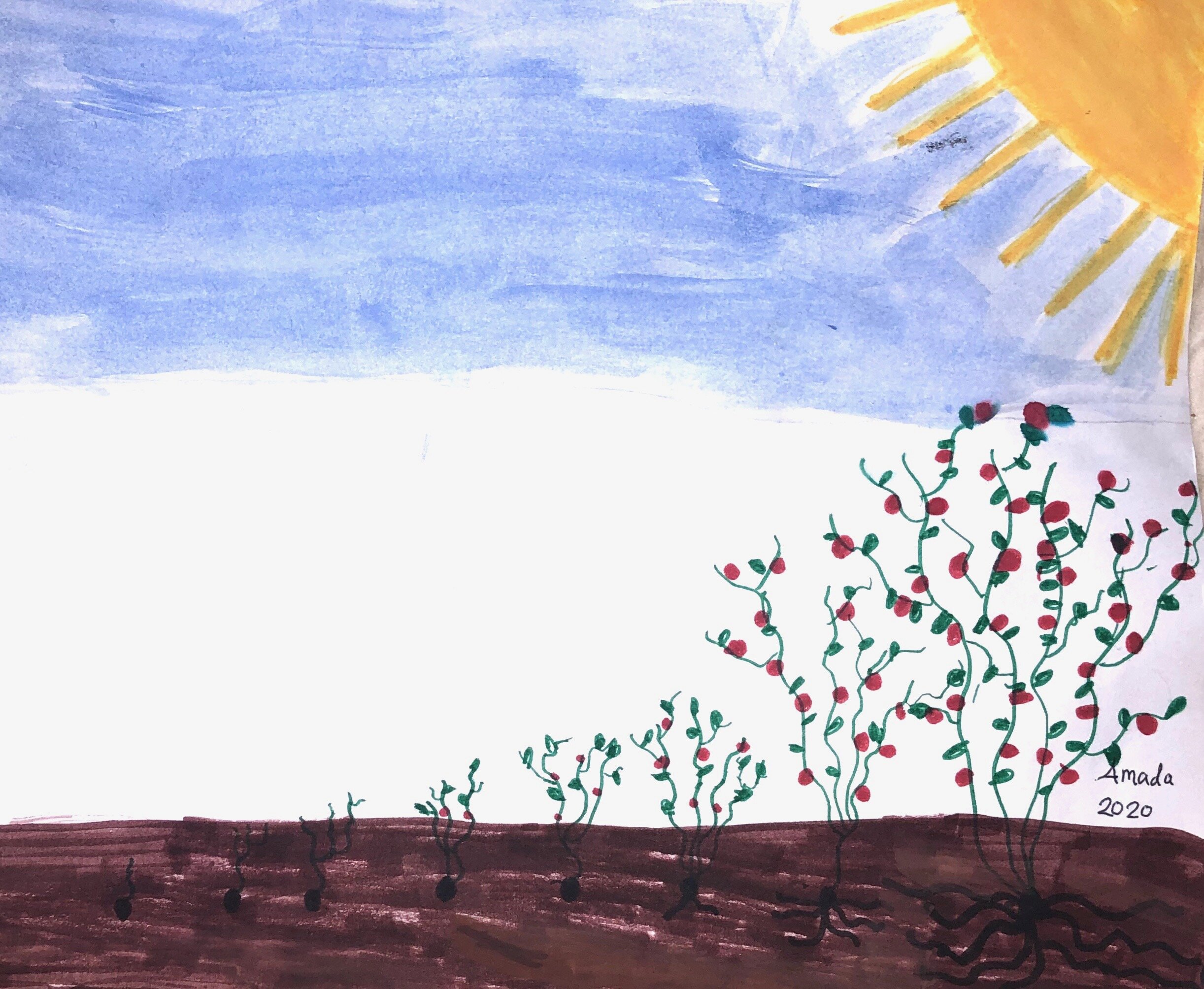 Remembering — A Coronavirus Fable