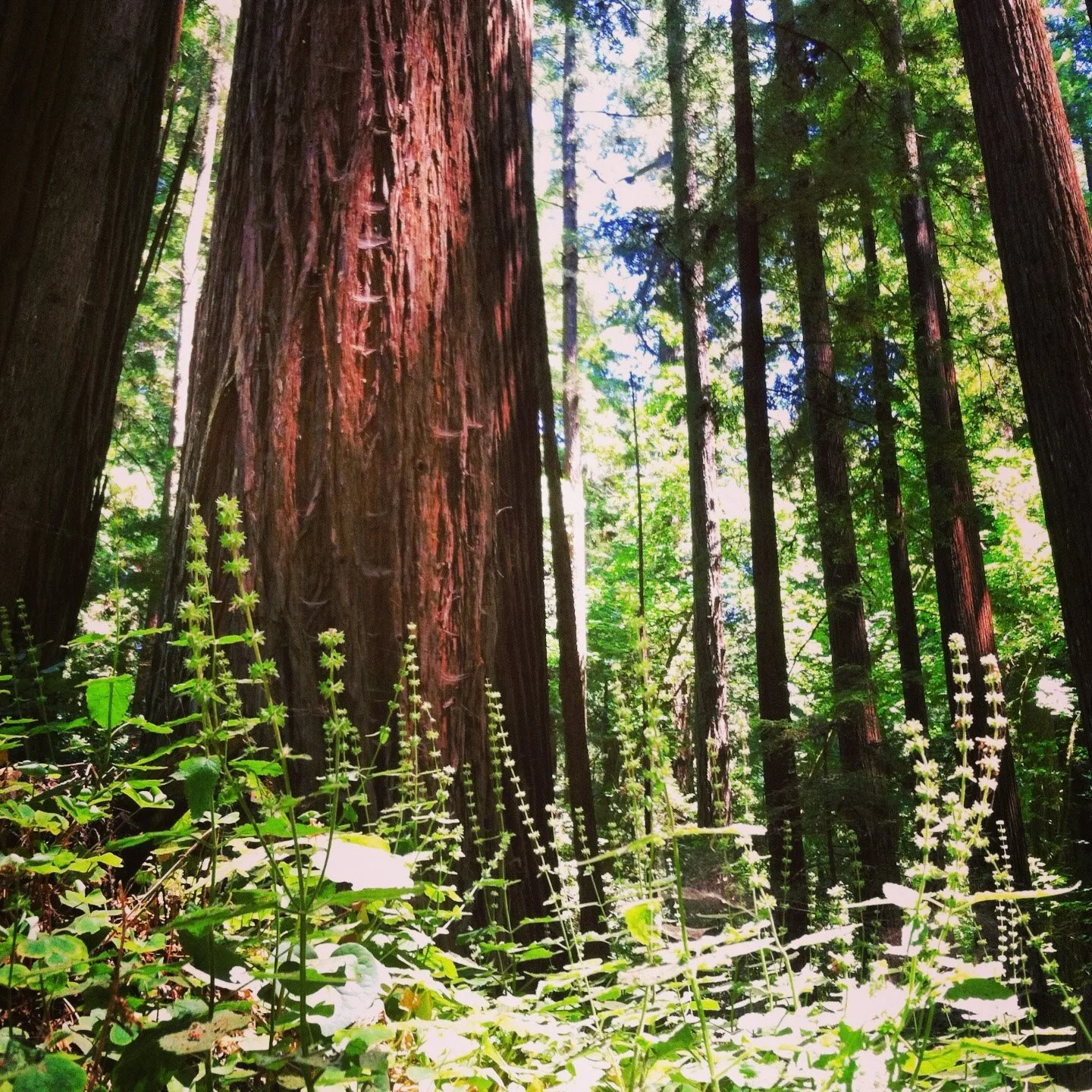 Wisdom from a Writing Workshop