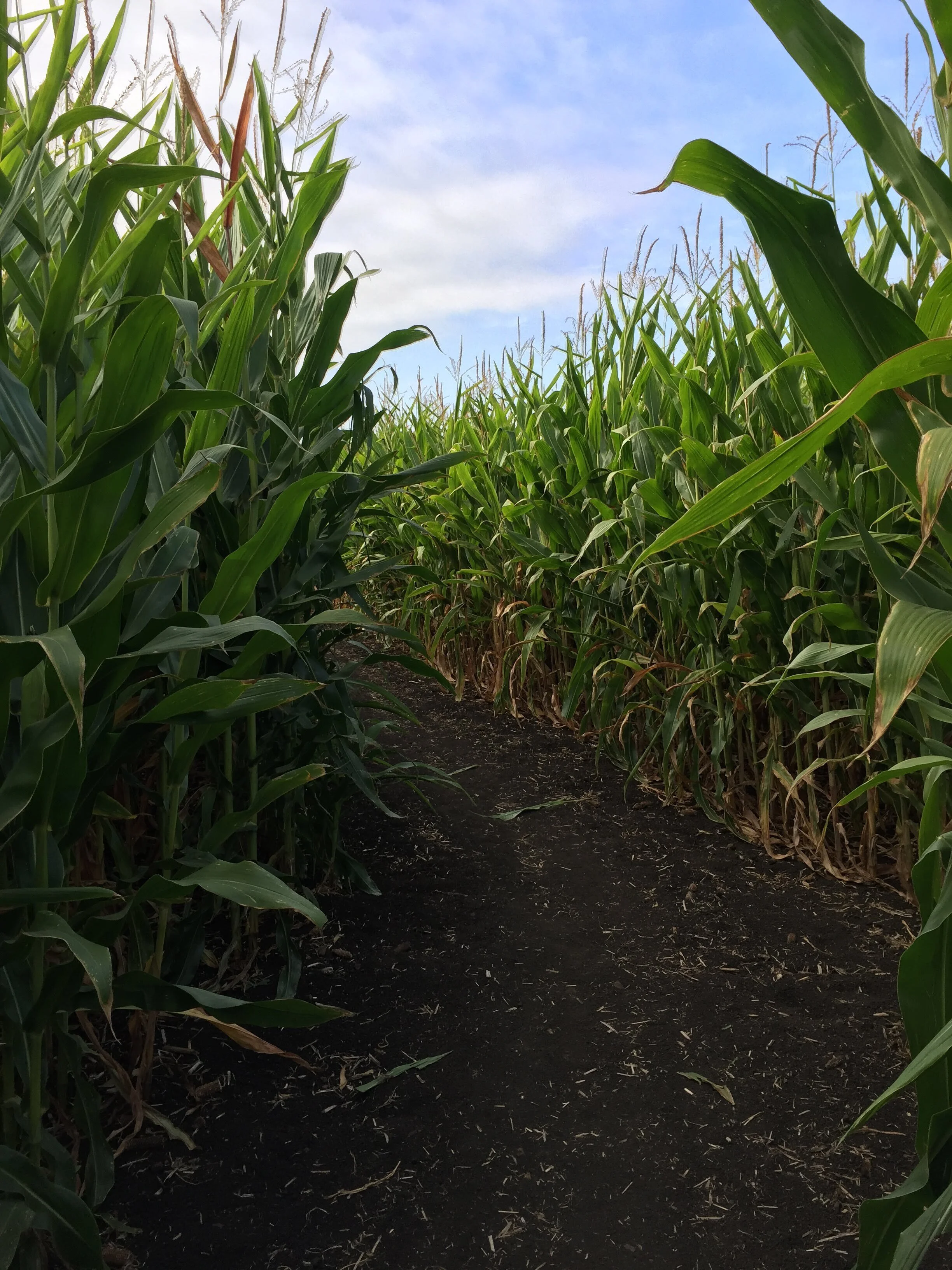 Quest Readers Share their Journeys