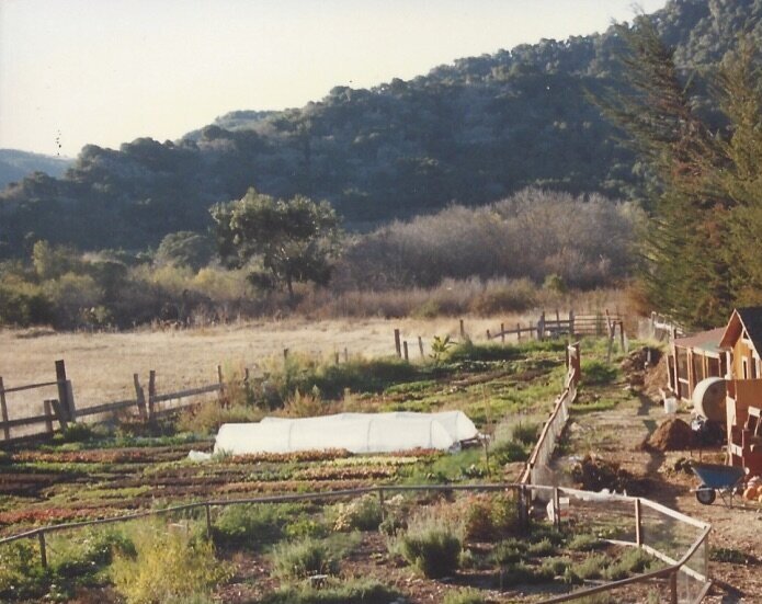 The Seeds That We Water Are the Ones That Grow