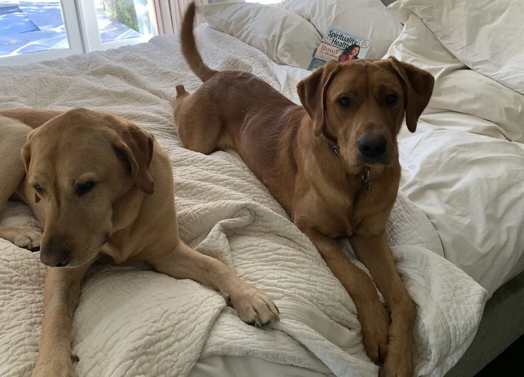 Reflections from a Birthday Spent Offline