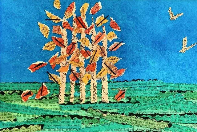 Pondering Perspective