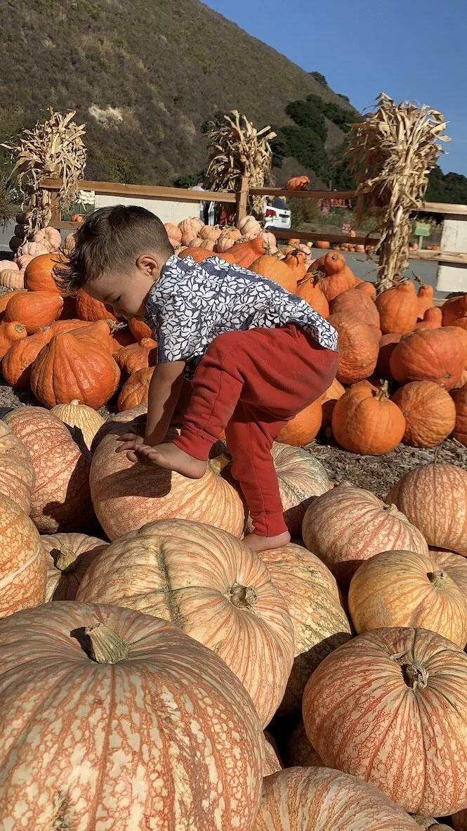 Harvest the Healing Energy of Fall