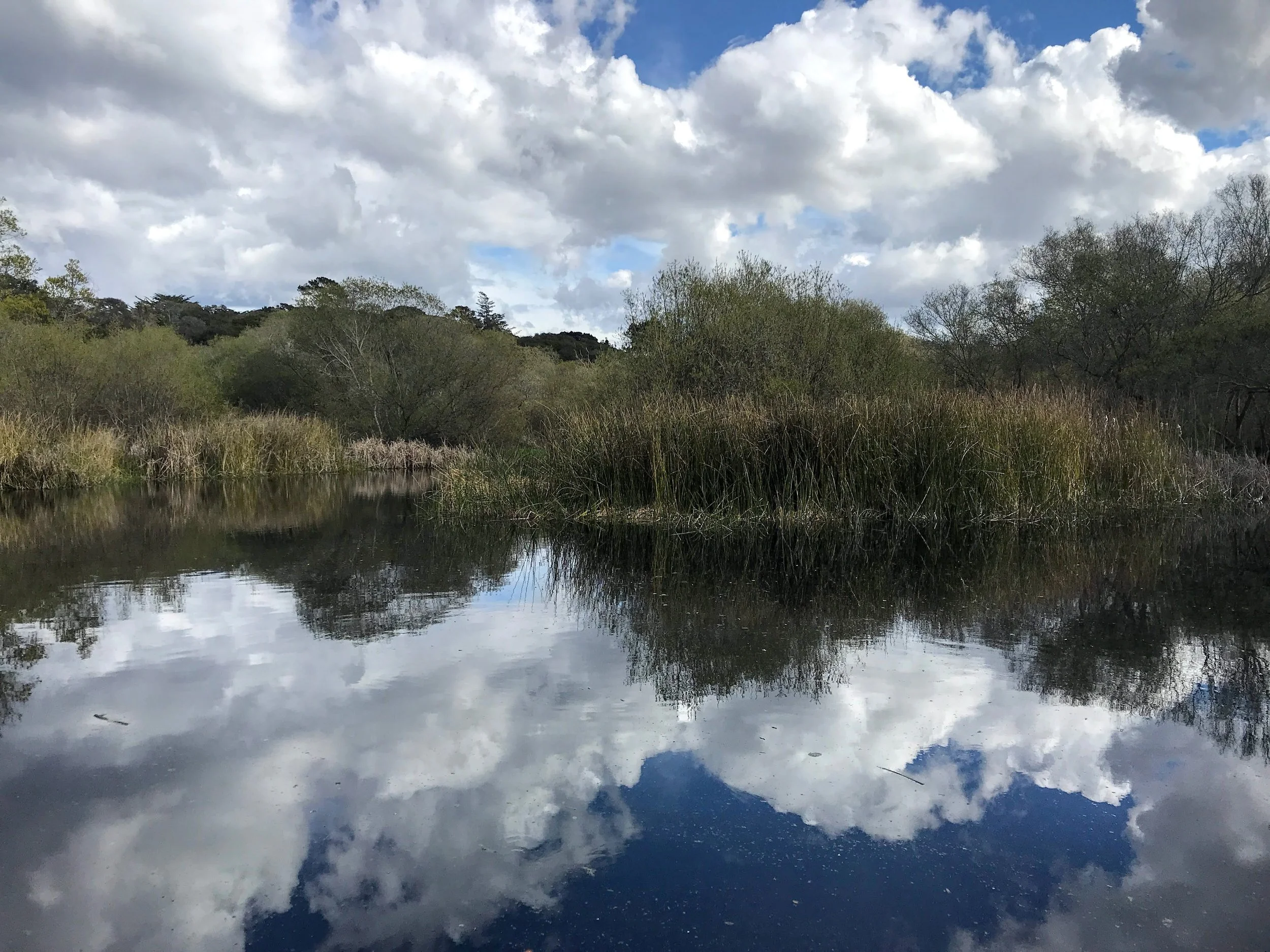 Write Your Own Script