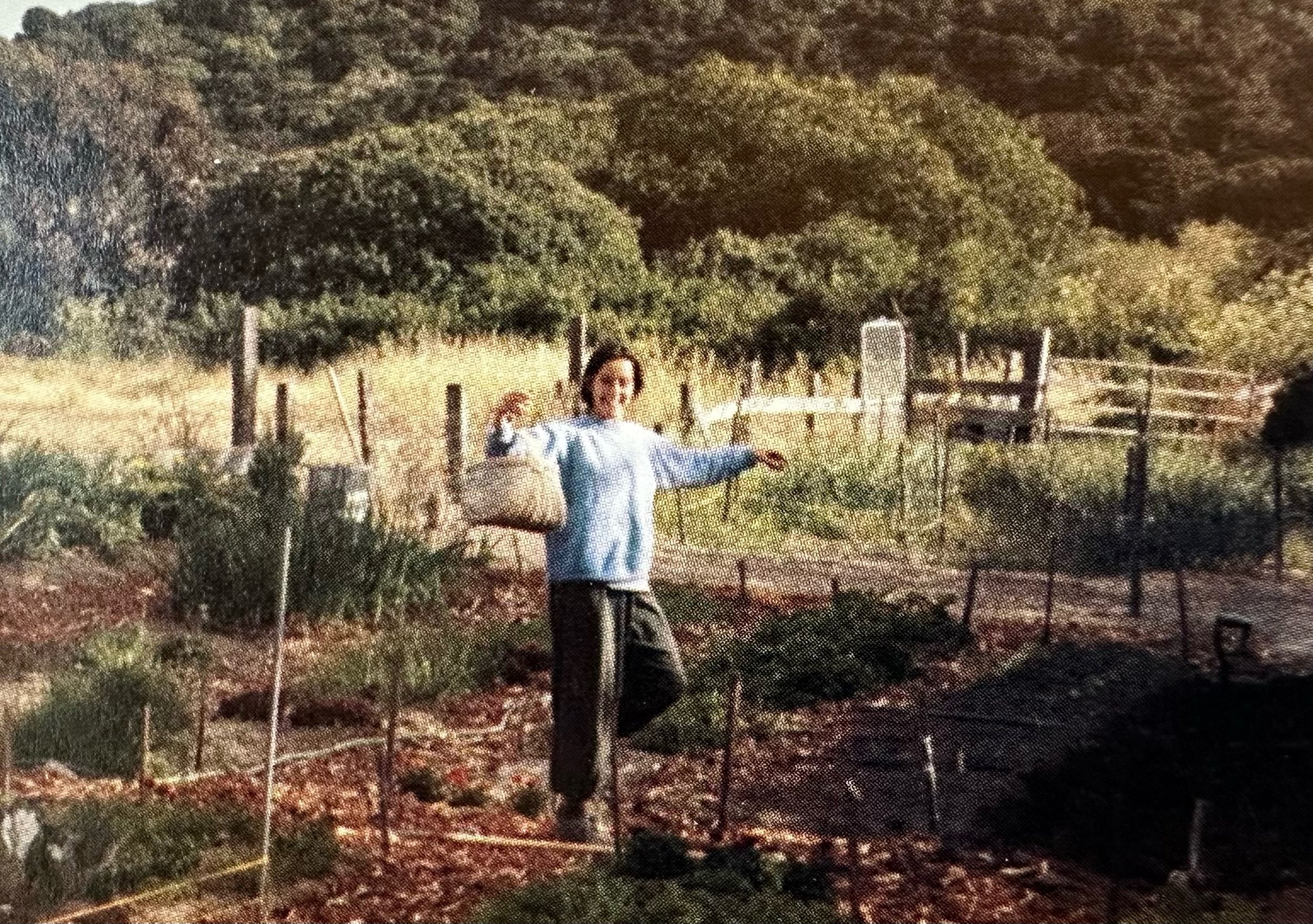 Don’t Blame the Lettuce