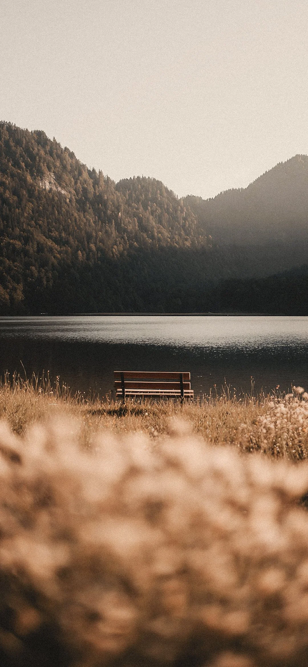 Pause: Let Go a Little More
