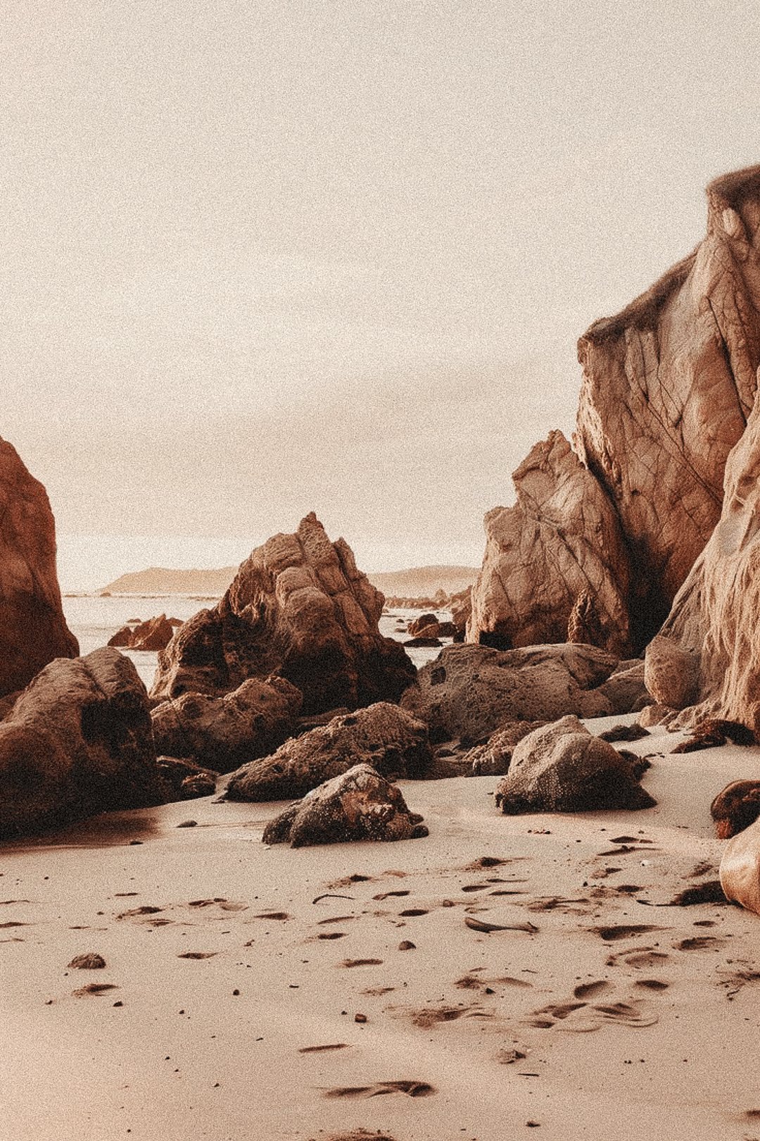 Pause: Release What No Longer Fits