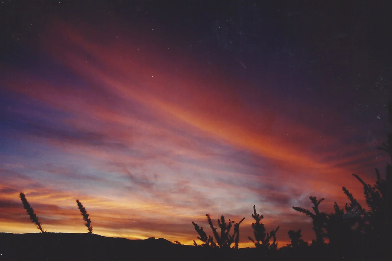 Pause: Awaken Joy