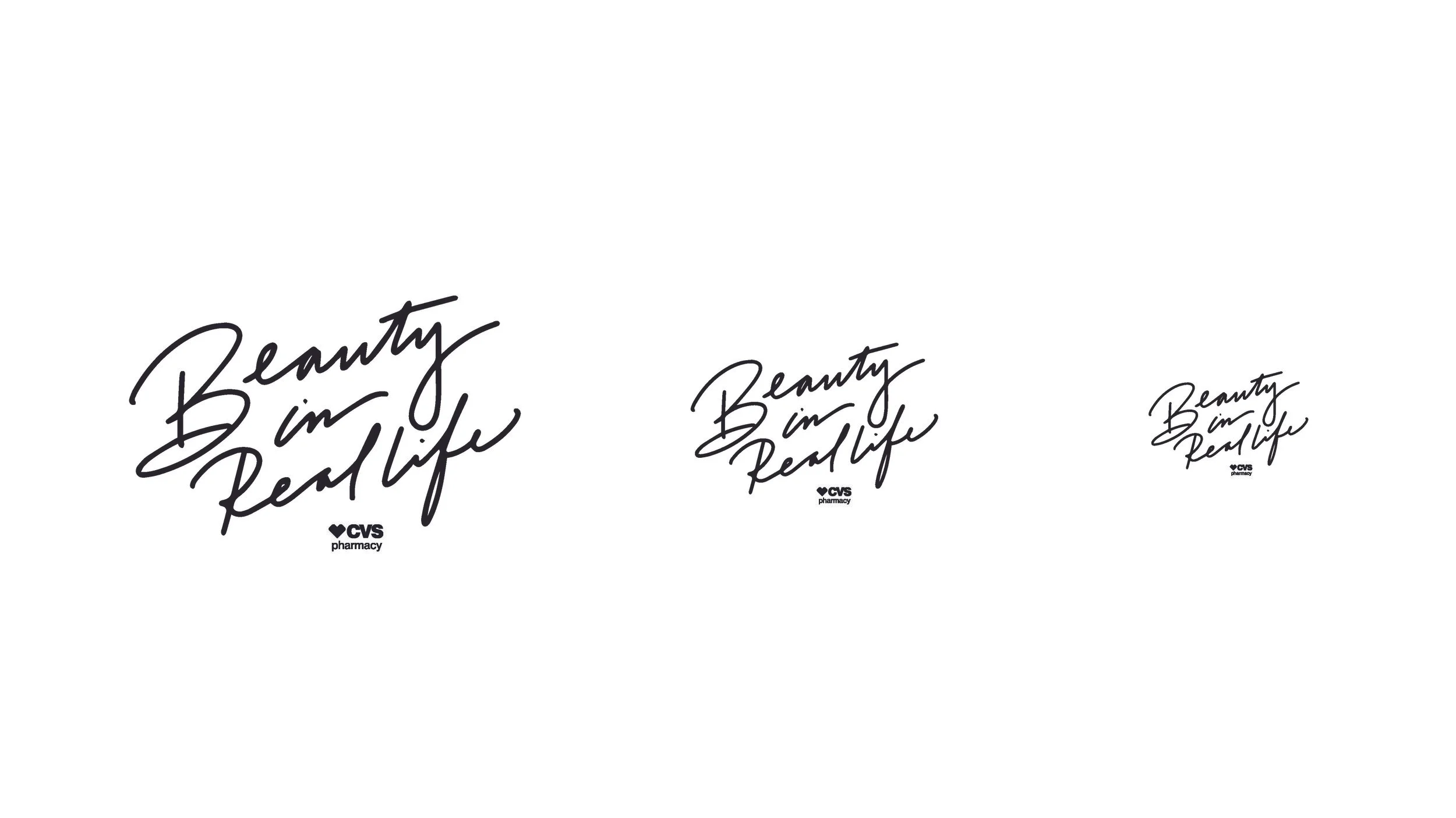 CVS_BIRL_andrea_logos1.jpg