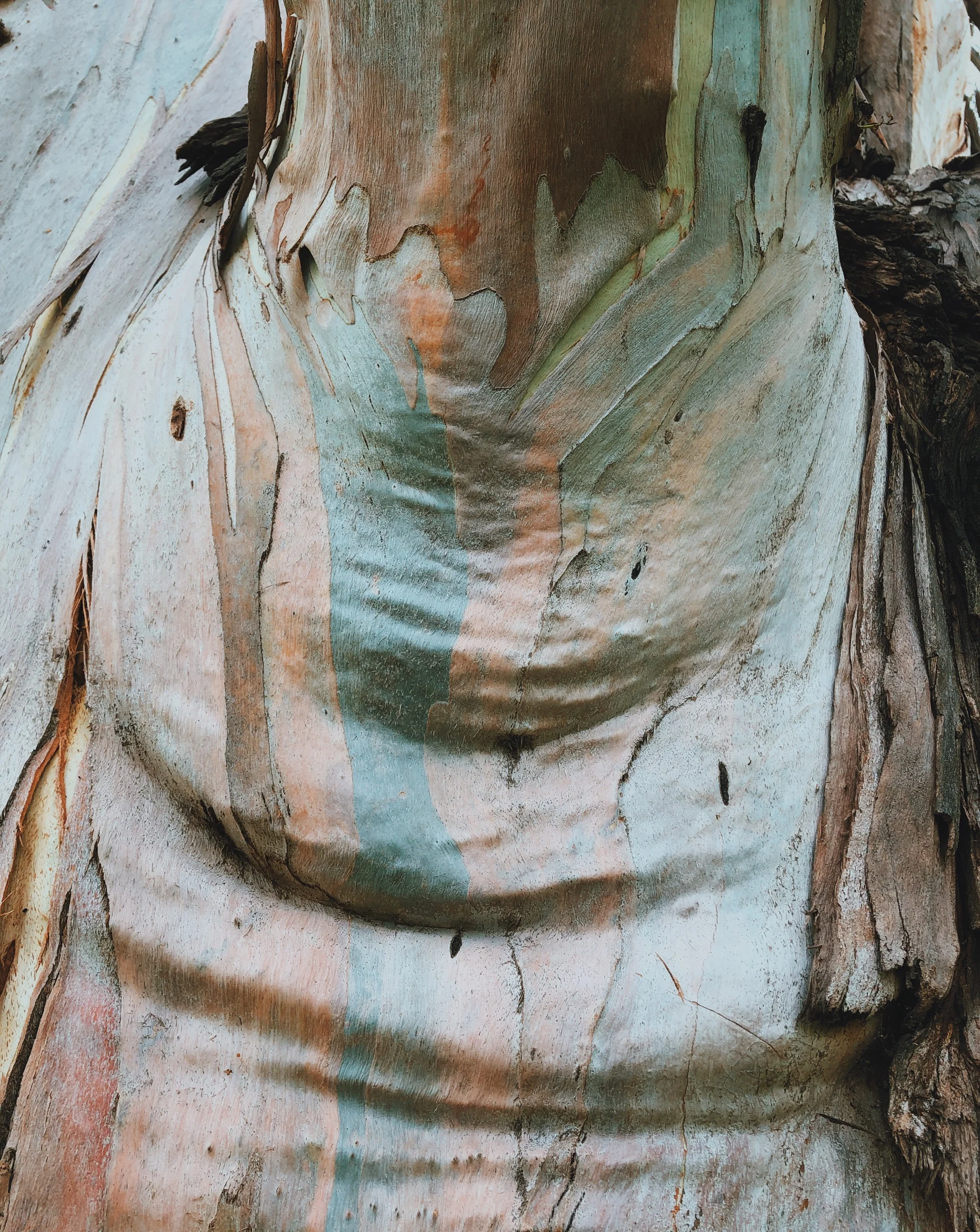 Mother Nature