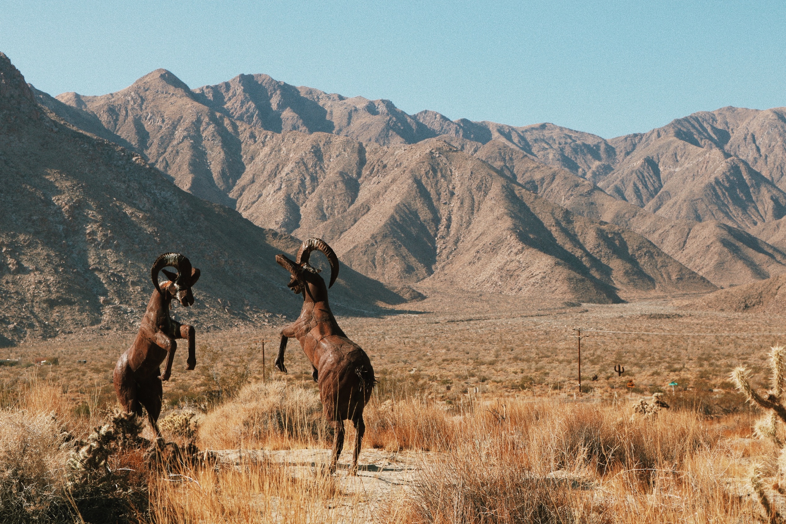 Anza Borrego - A Series.