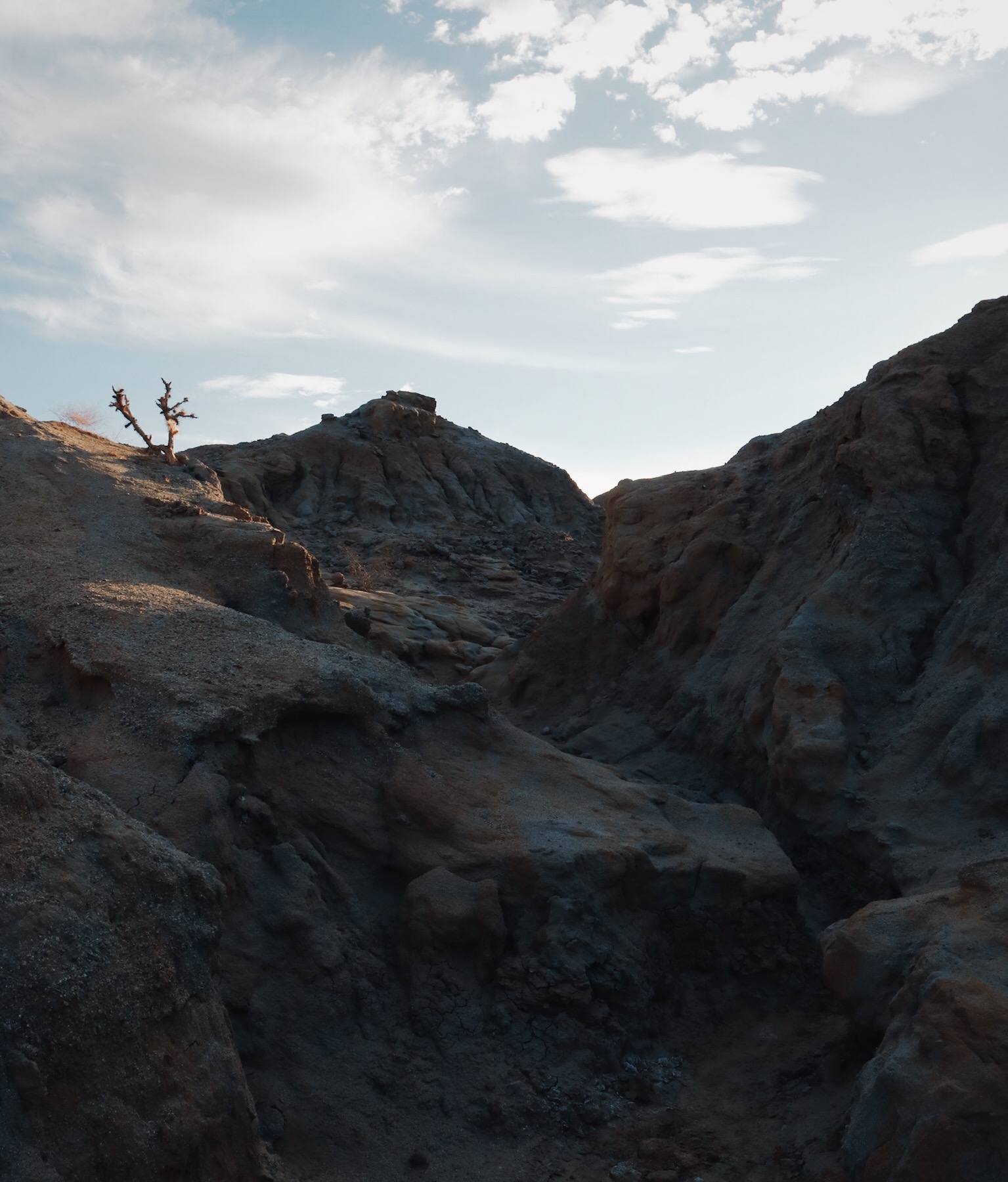 Anza Borrego - A Series.