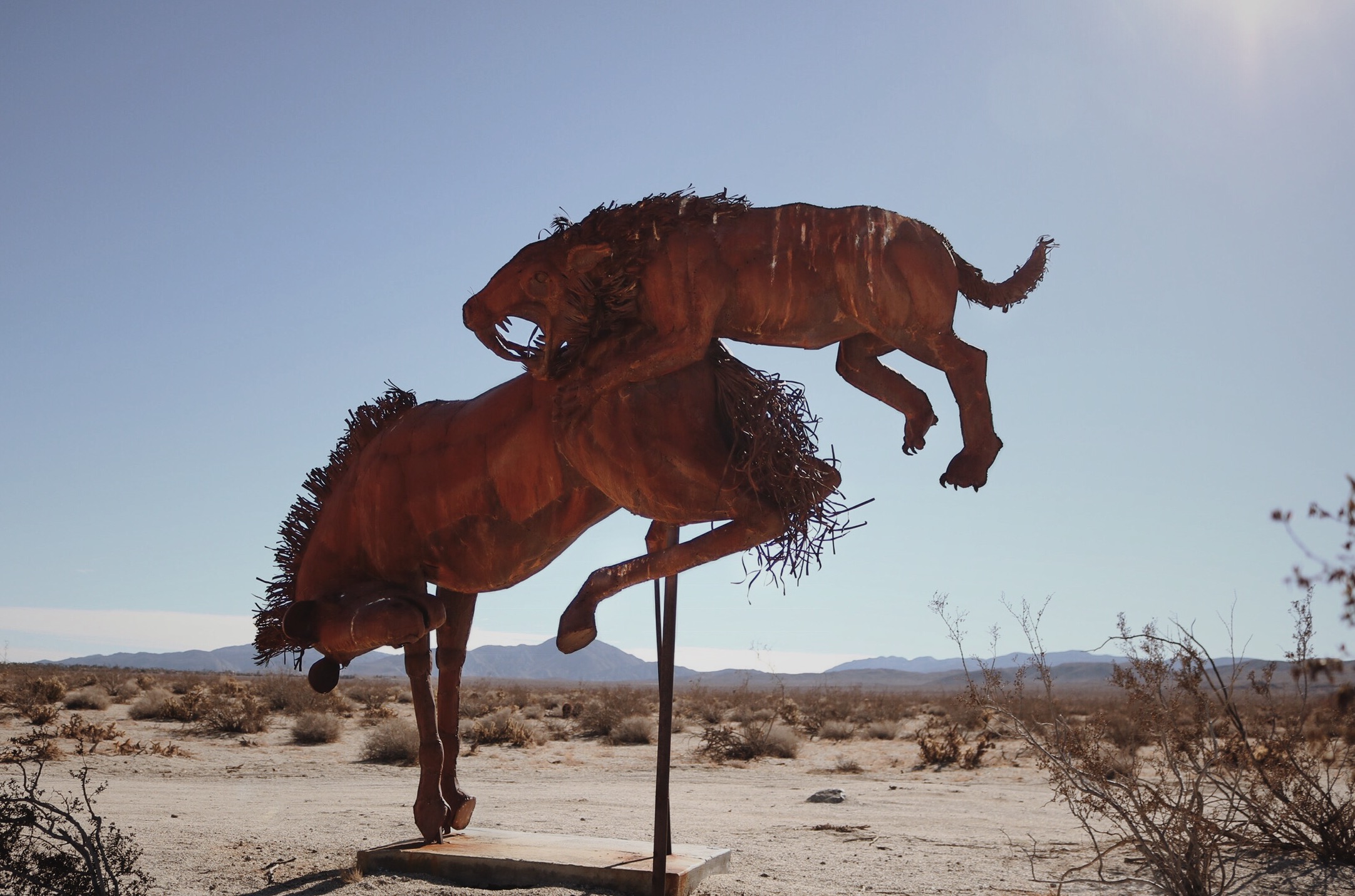 Anza Borrego - A Series.