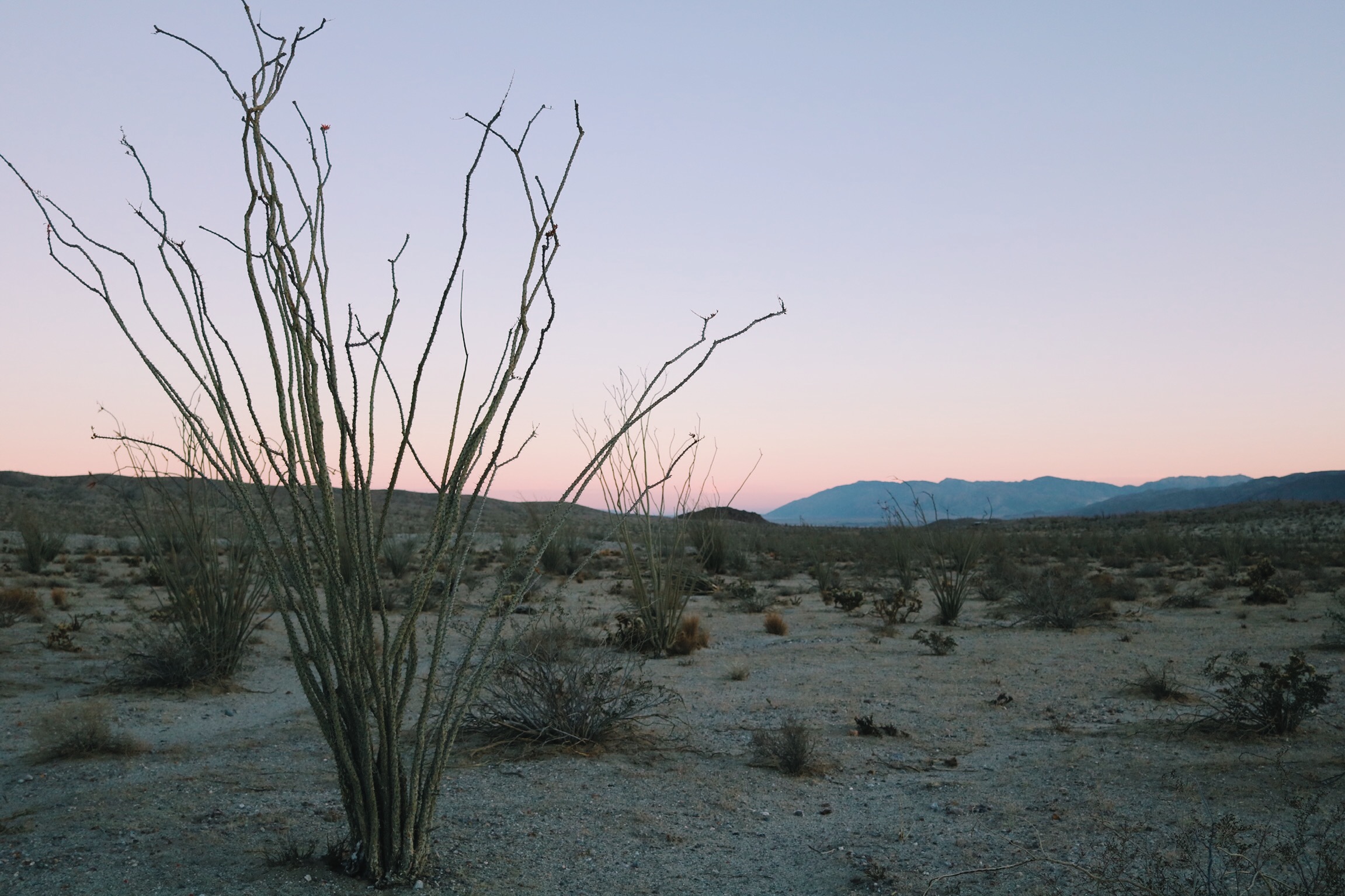 Anza Borrego - A Series.