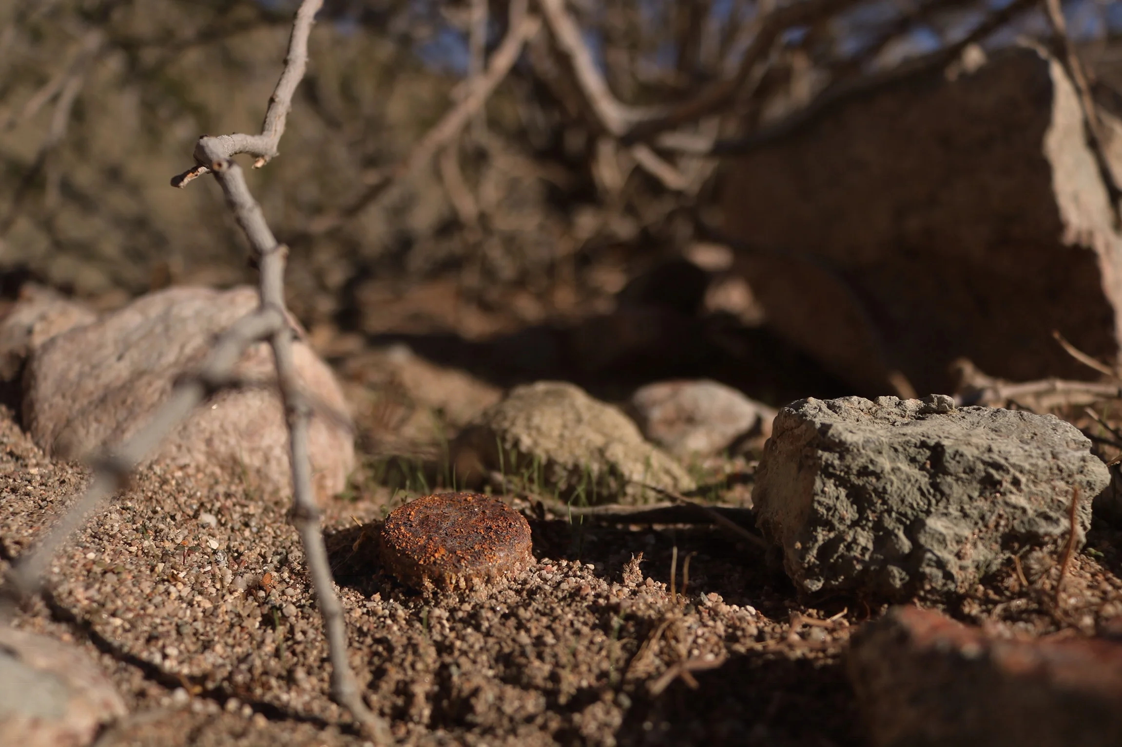 Anza Borrego - A Series.