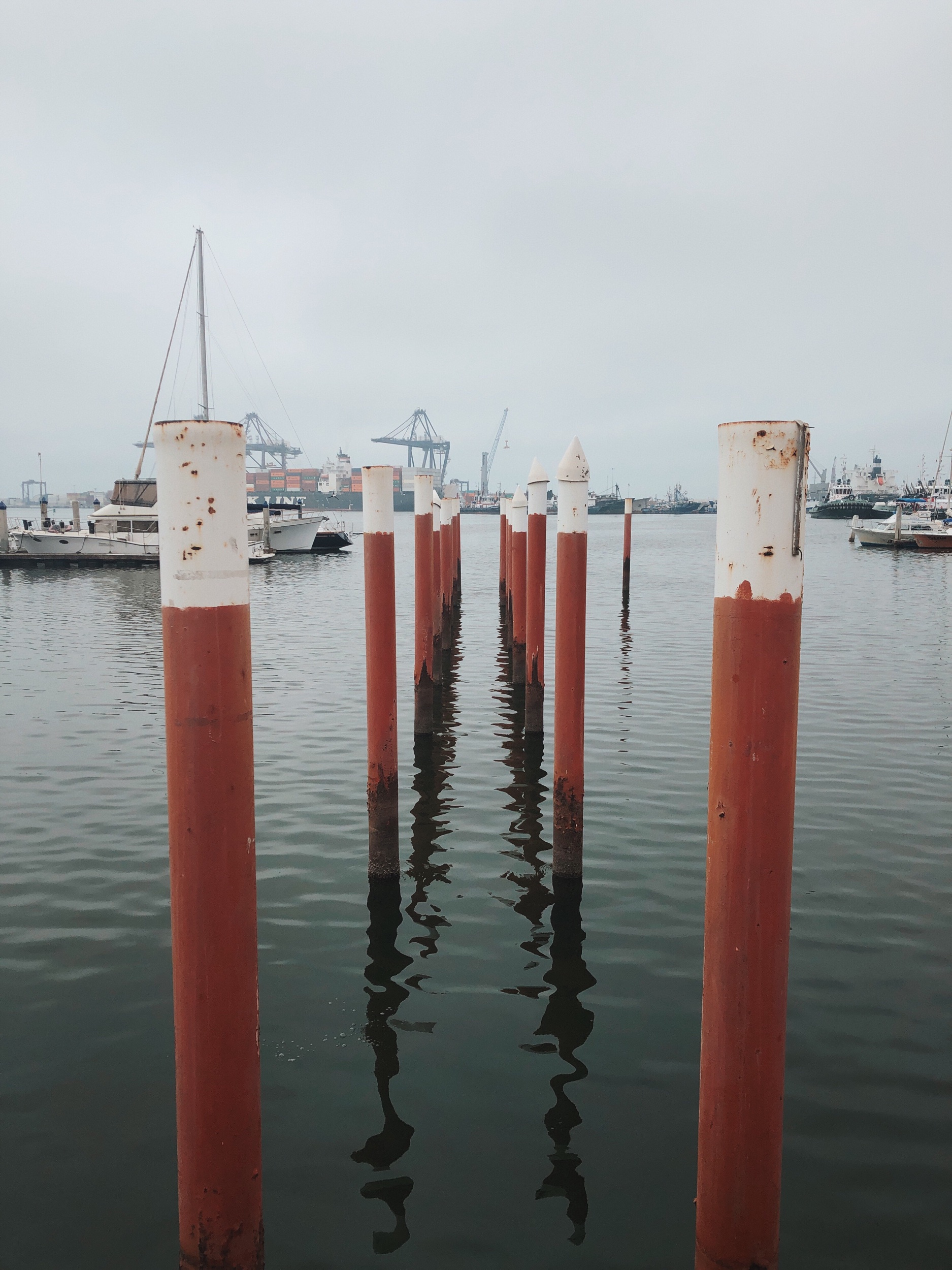The Long View