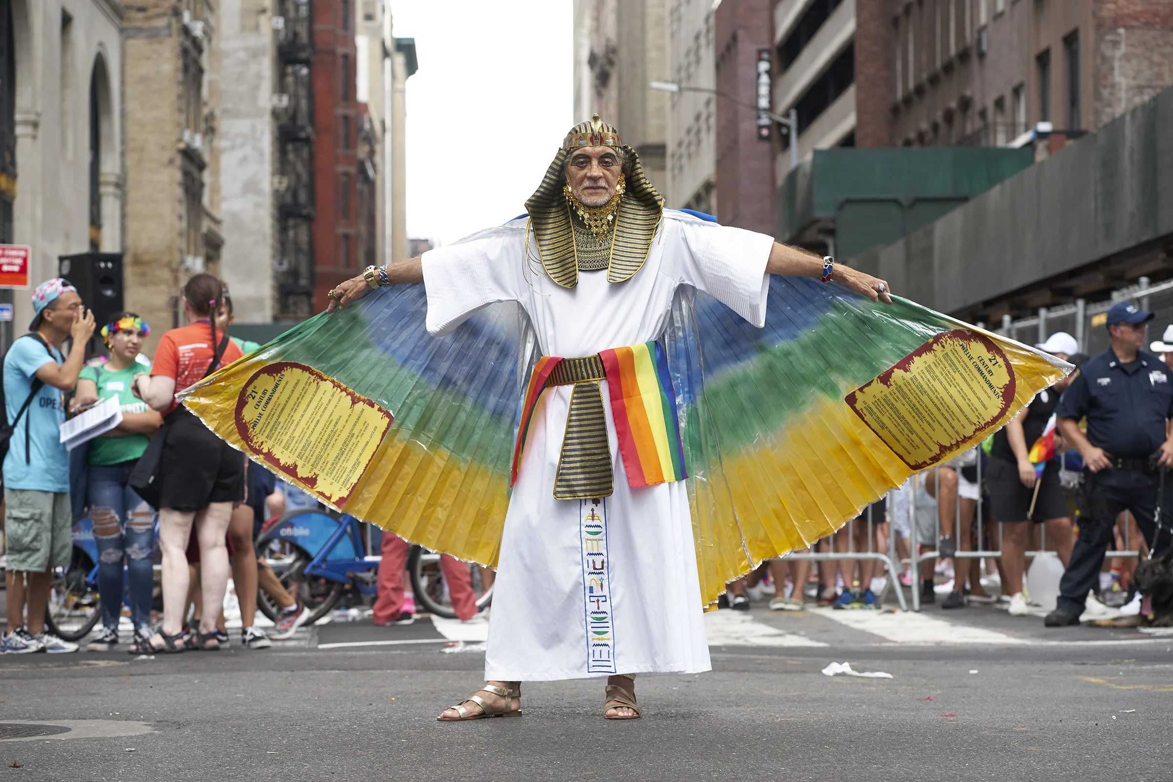 pridewings.jpg