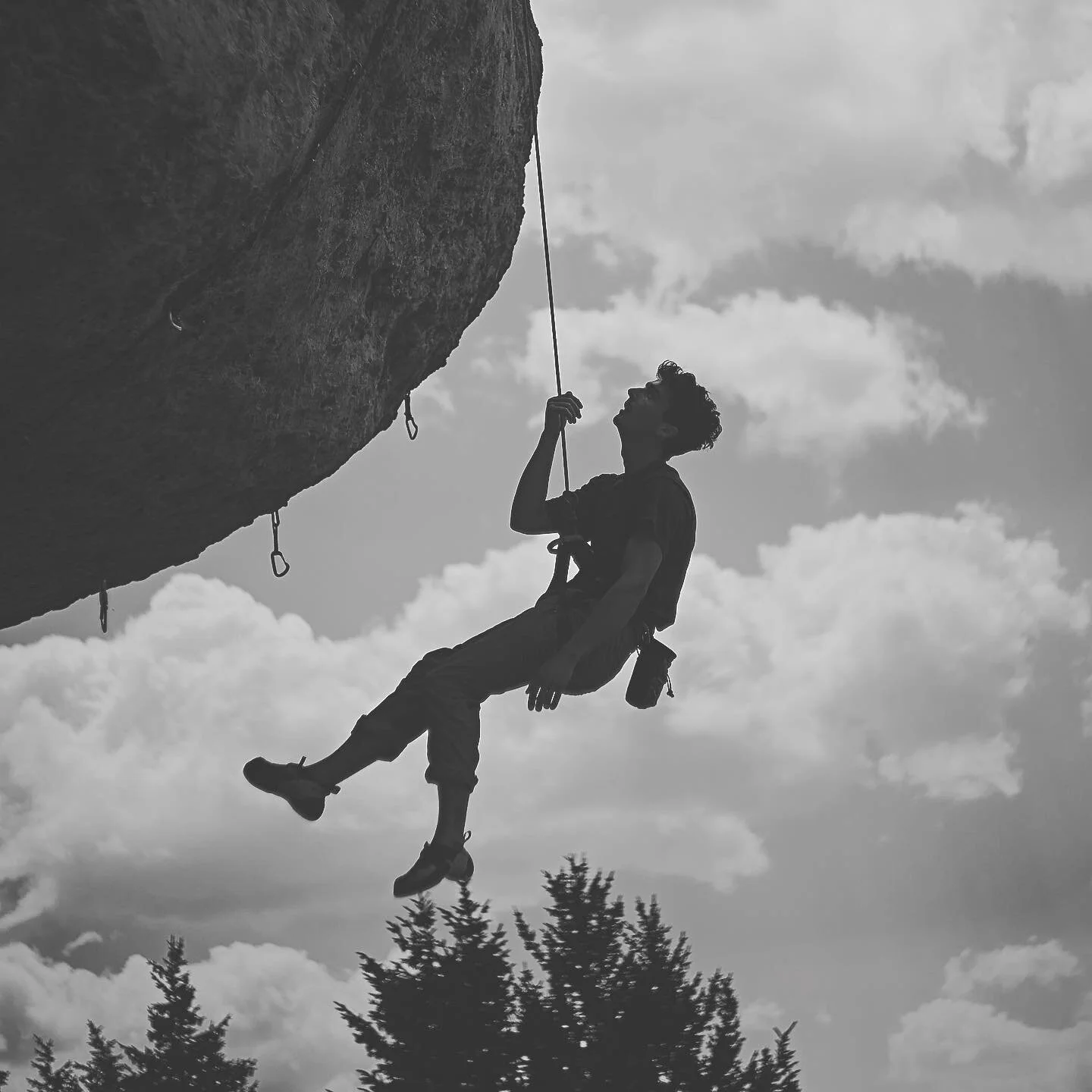 Flash of Poker Face Alice. Wild Iris, WY