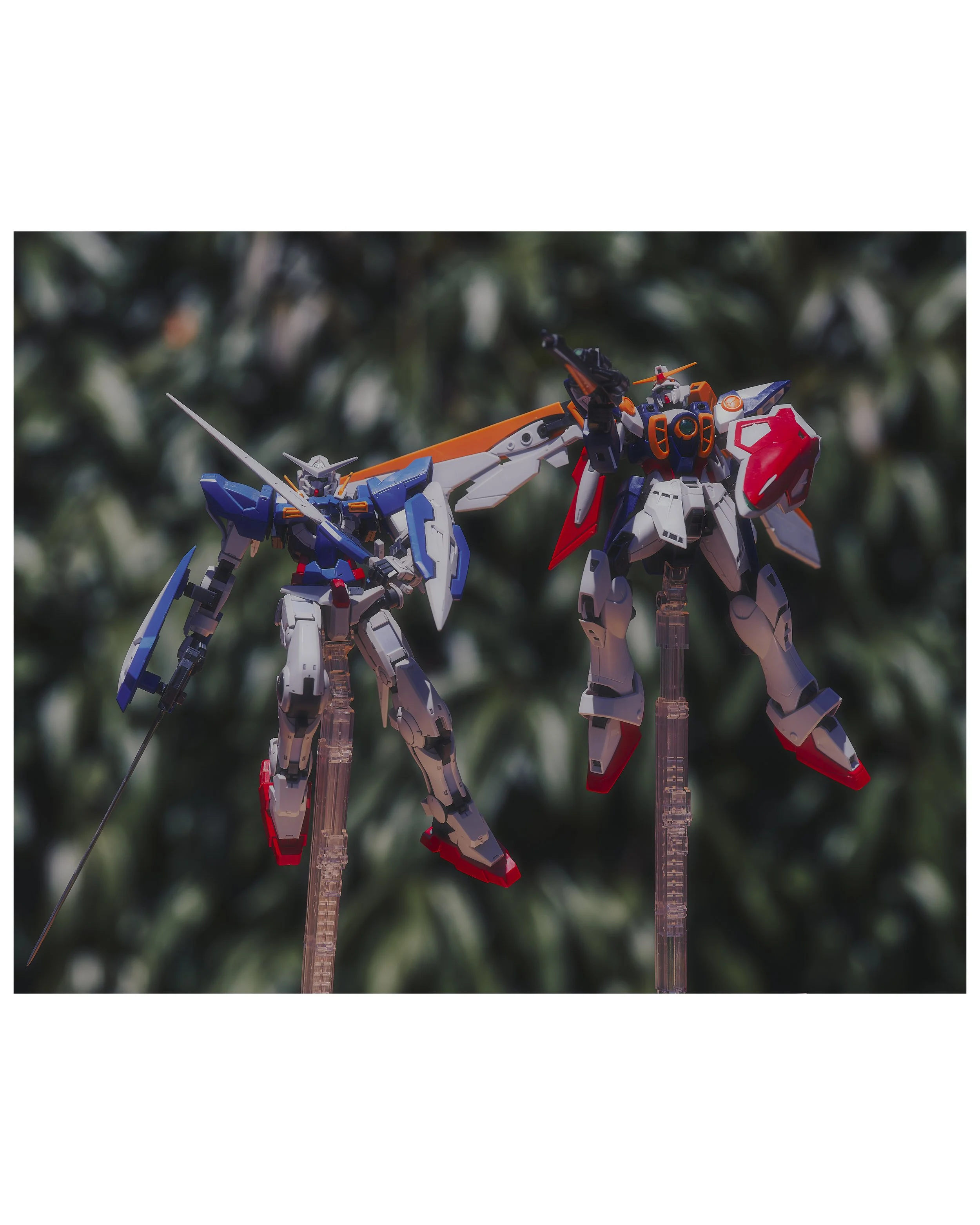 GS-Vera-King - 2024-06-22_08.JPG