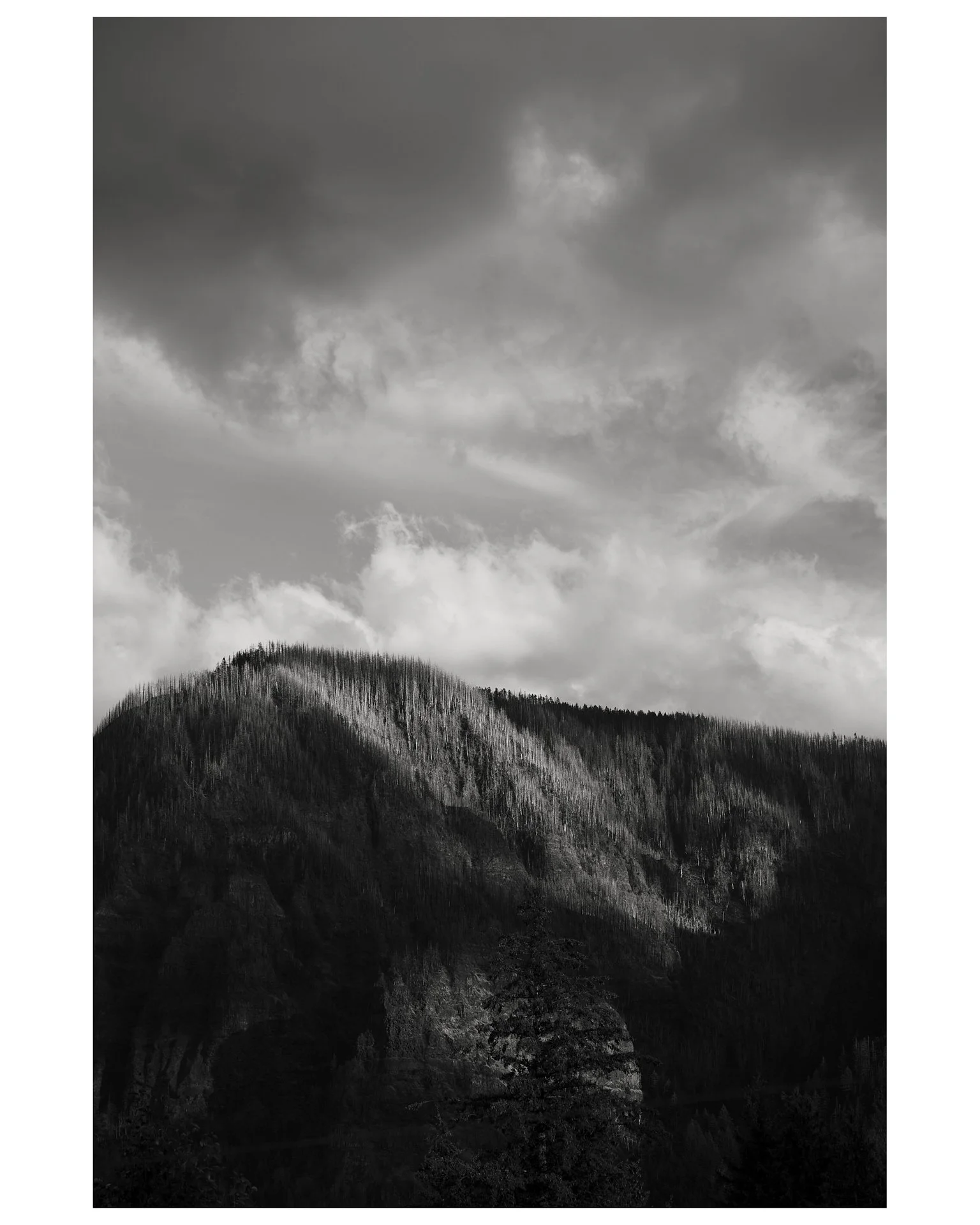 20250105_Orion Lead Submission_0015_1.JPG