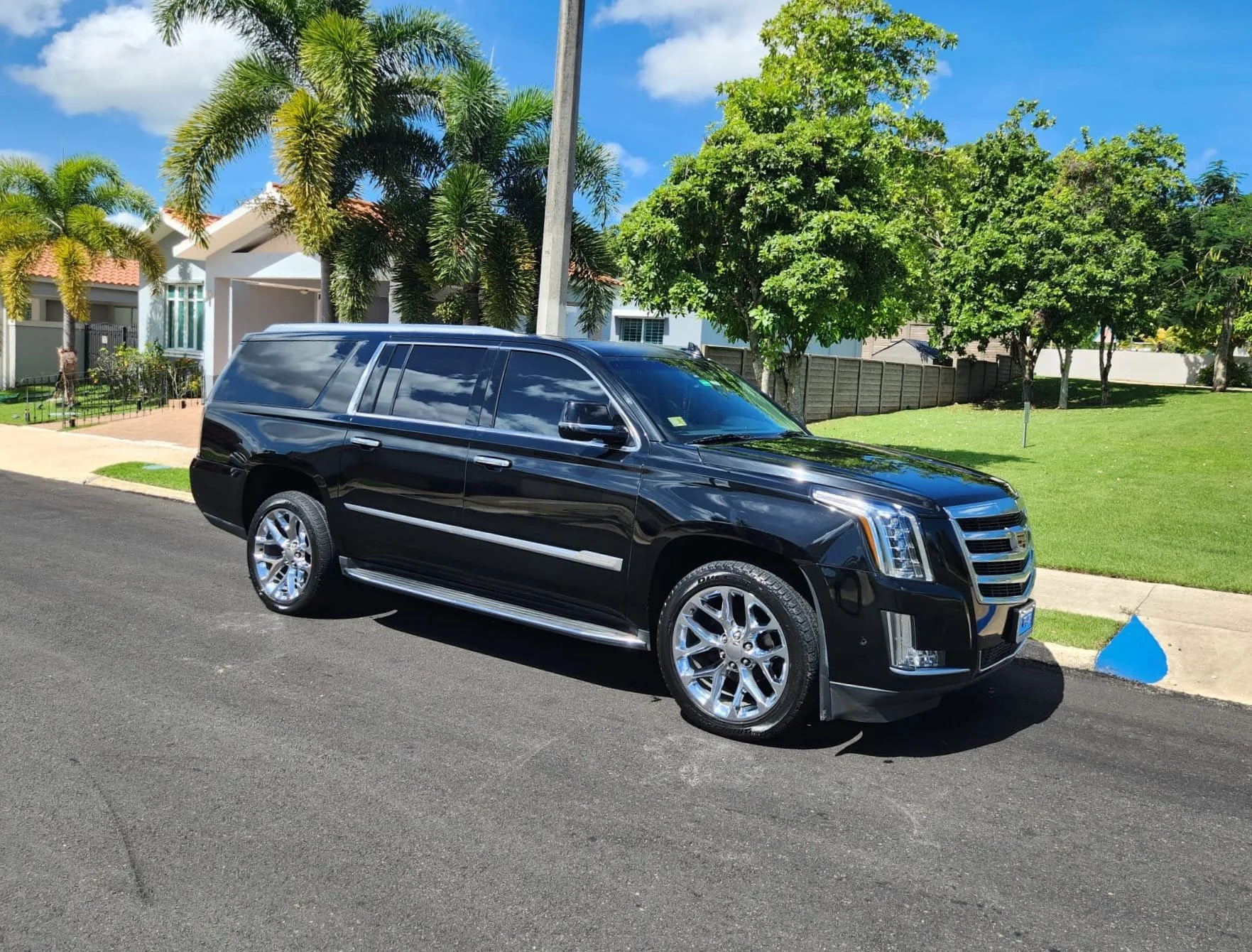 WhatsApp Image 2025-08-13 at 11.18.33 AM.jpeg