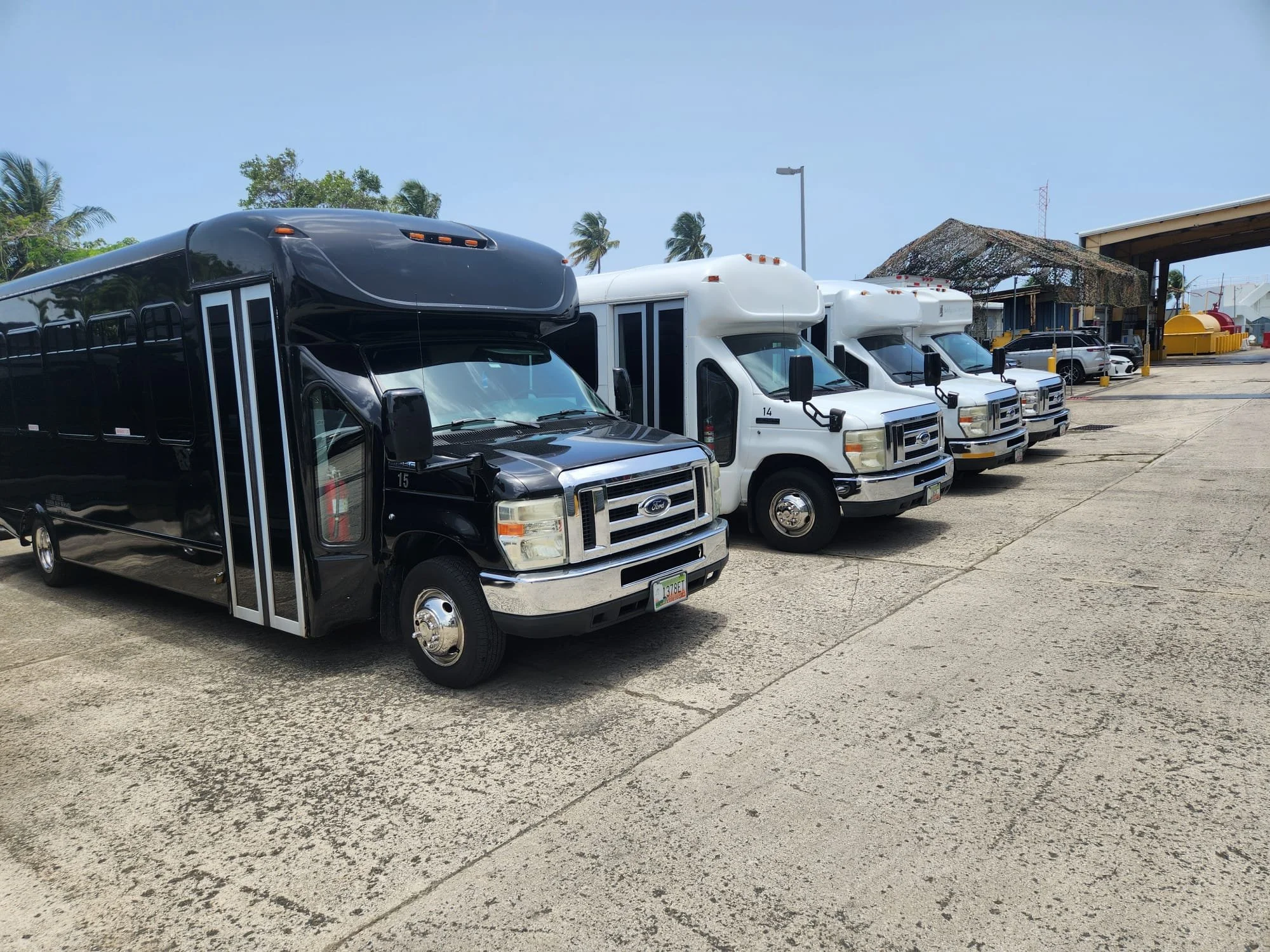 WhatsApp Image 2025-08-13 at 11.16.25 AM.jpeg