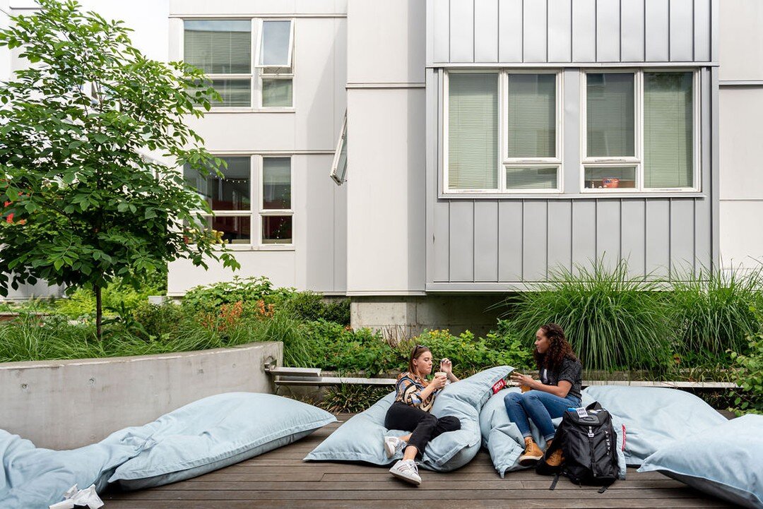 The giant pillows in our outdoor courtyard make the transition between studying and napping so easy! Or stay awake and chat with friends, up to you.