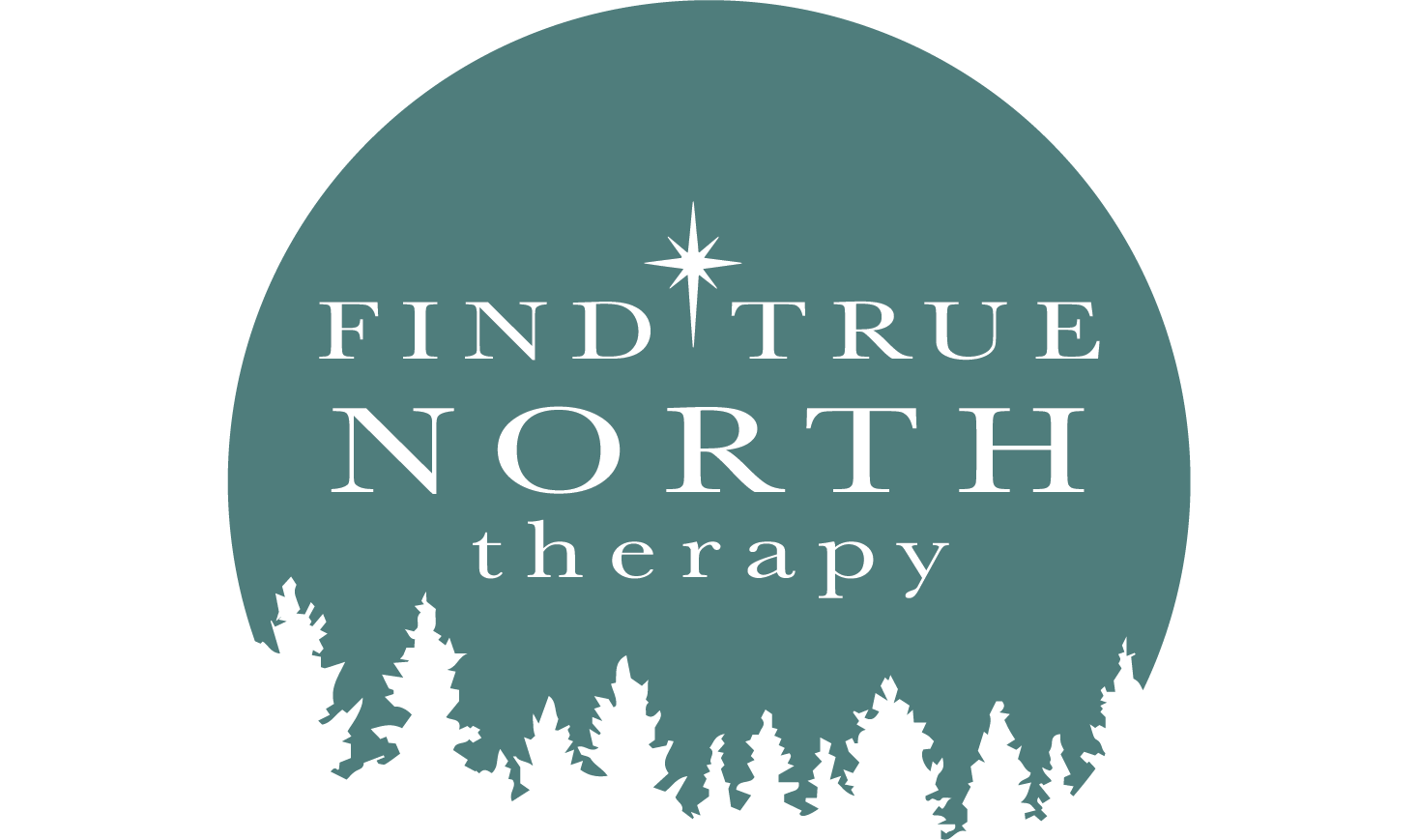Find True North Therapy