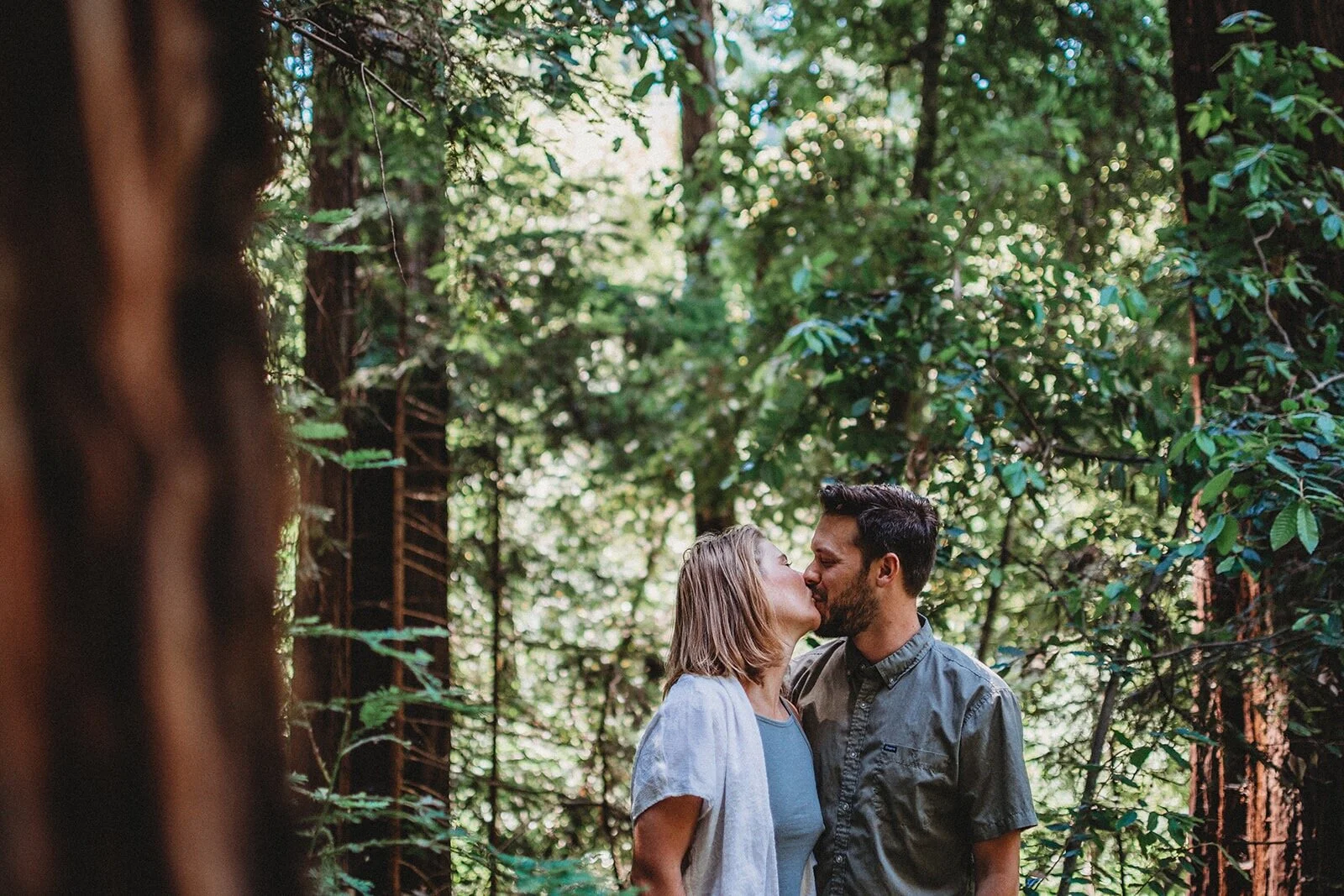 Santa Cruz Redwoods Anniversary