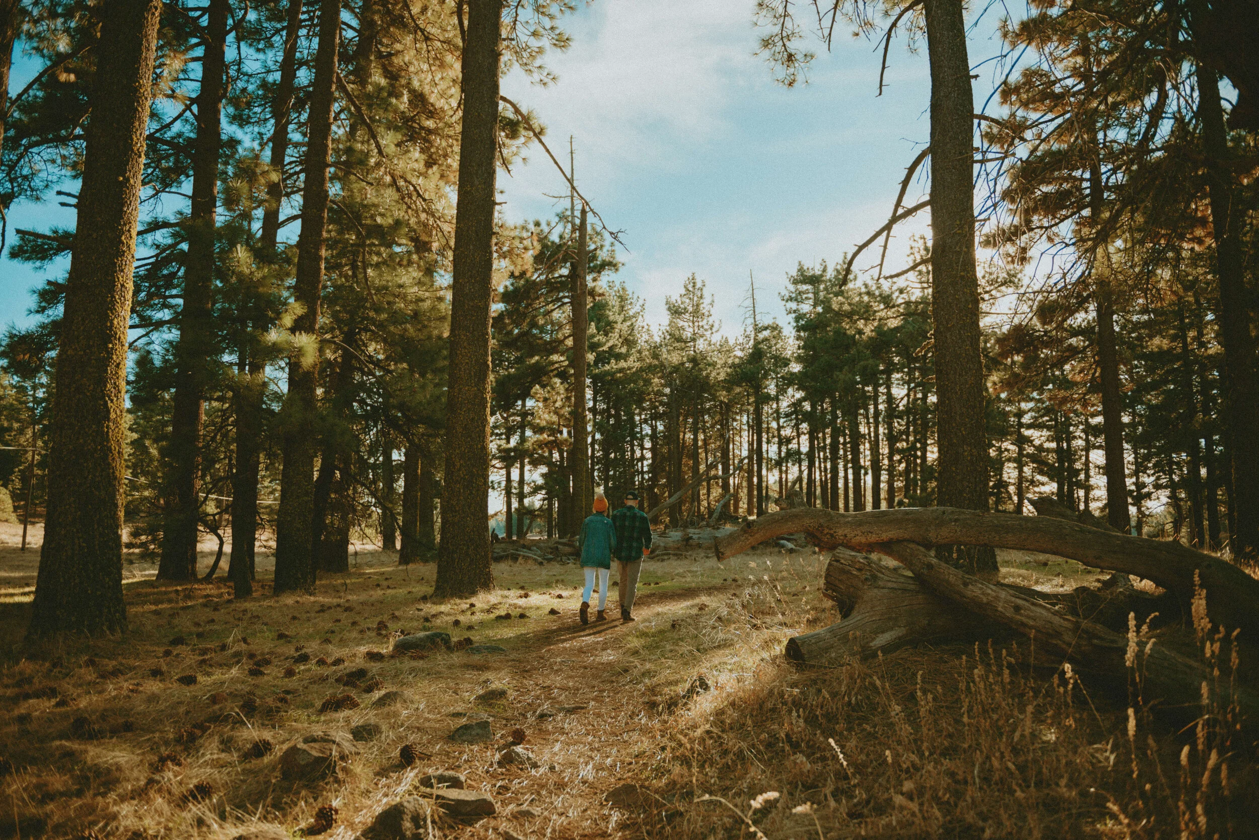 stephsousaphotoreedited-247.jpg