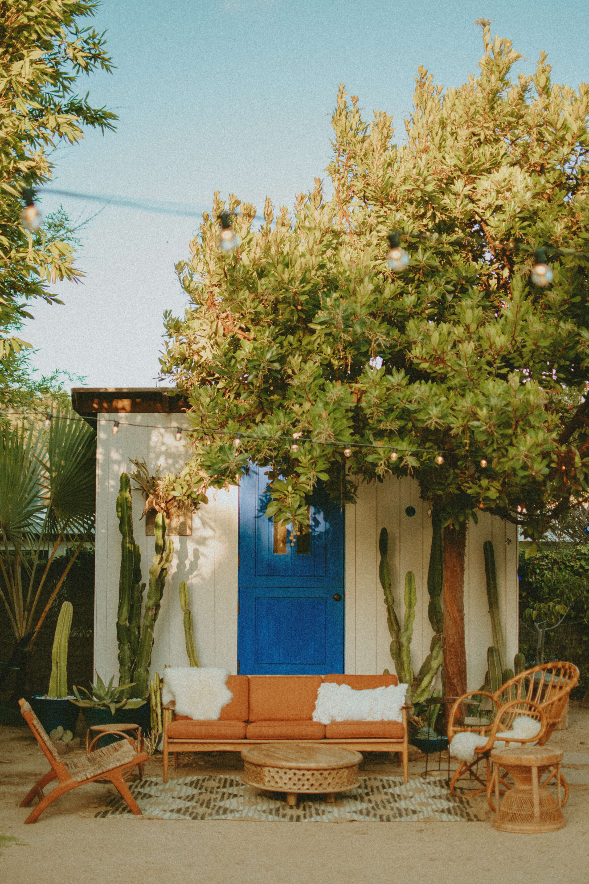 stephsousaphotoreedited-44.jpg