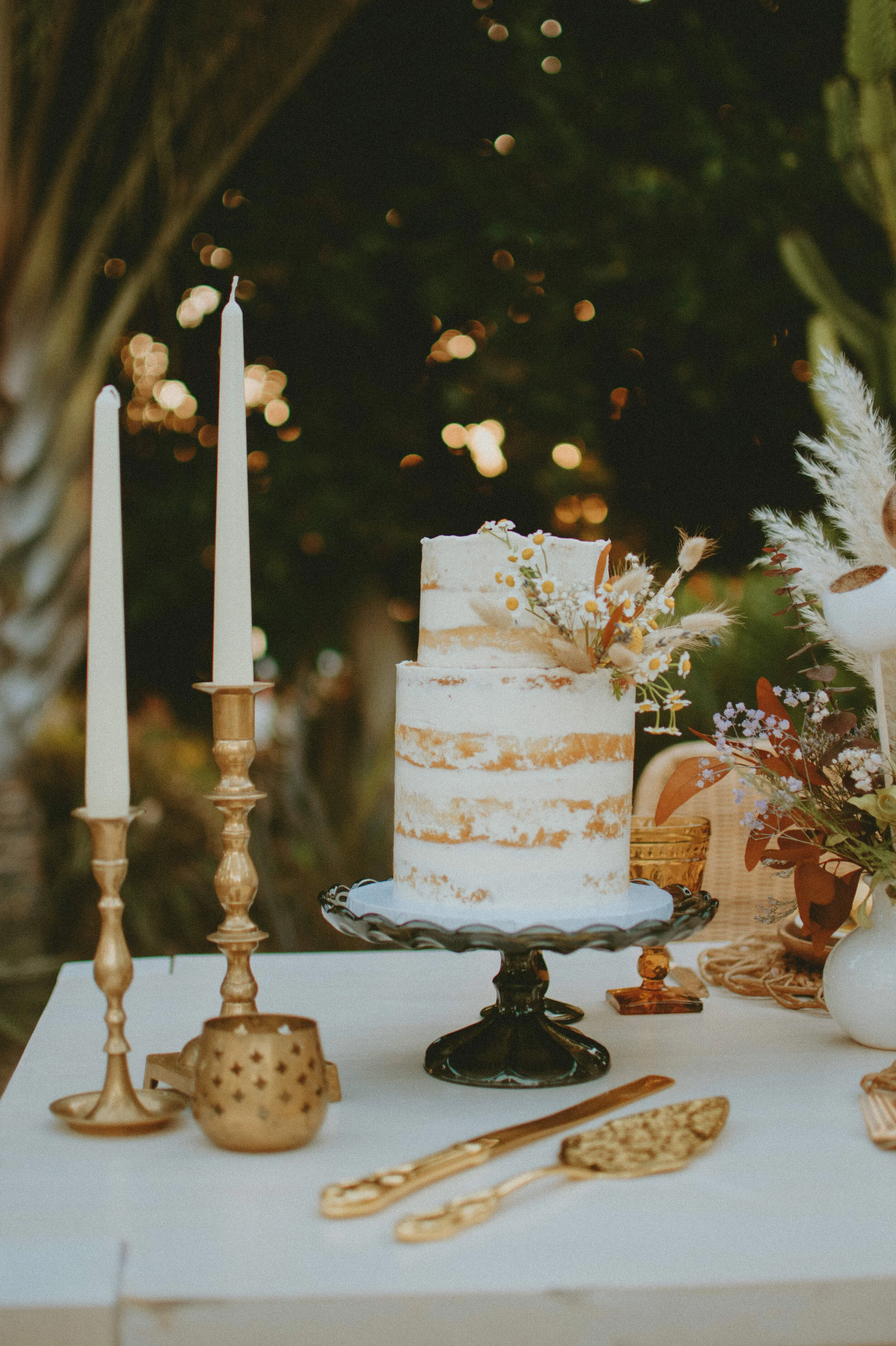 stephsousaphotoreedited-60.jpg