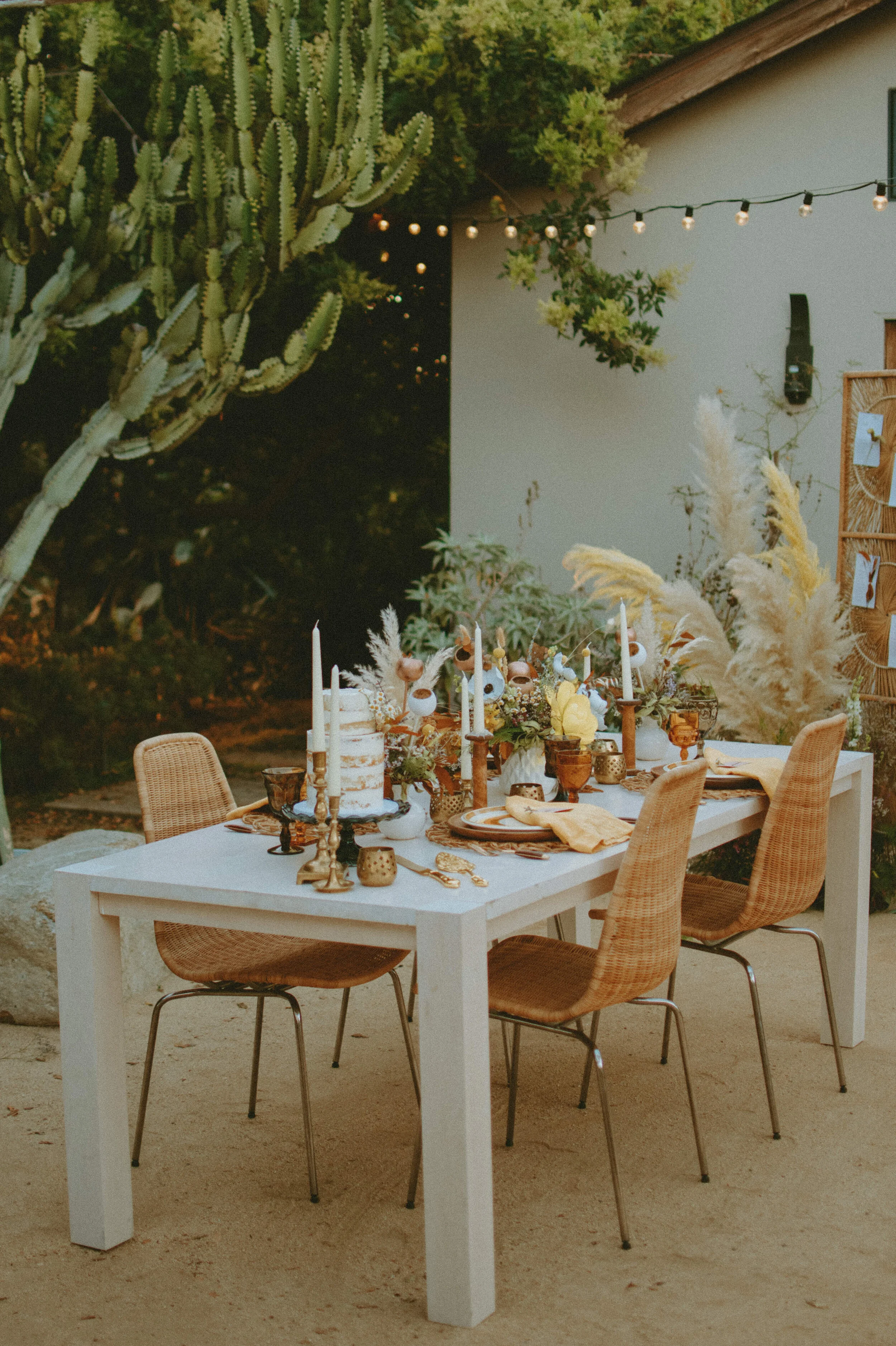 stephsousaphotoreedited-61.jpg