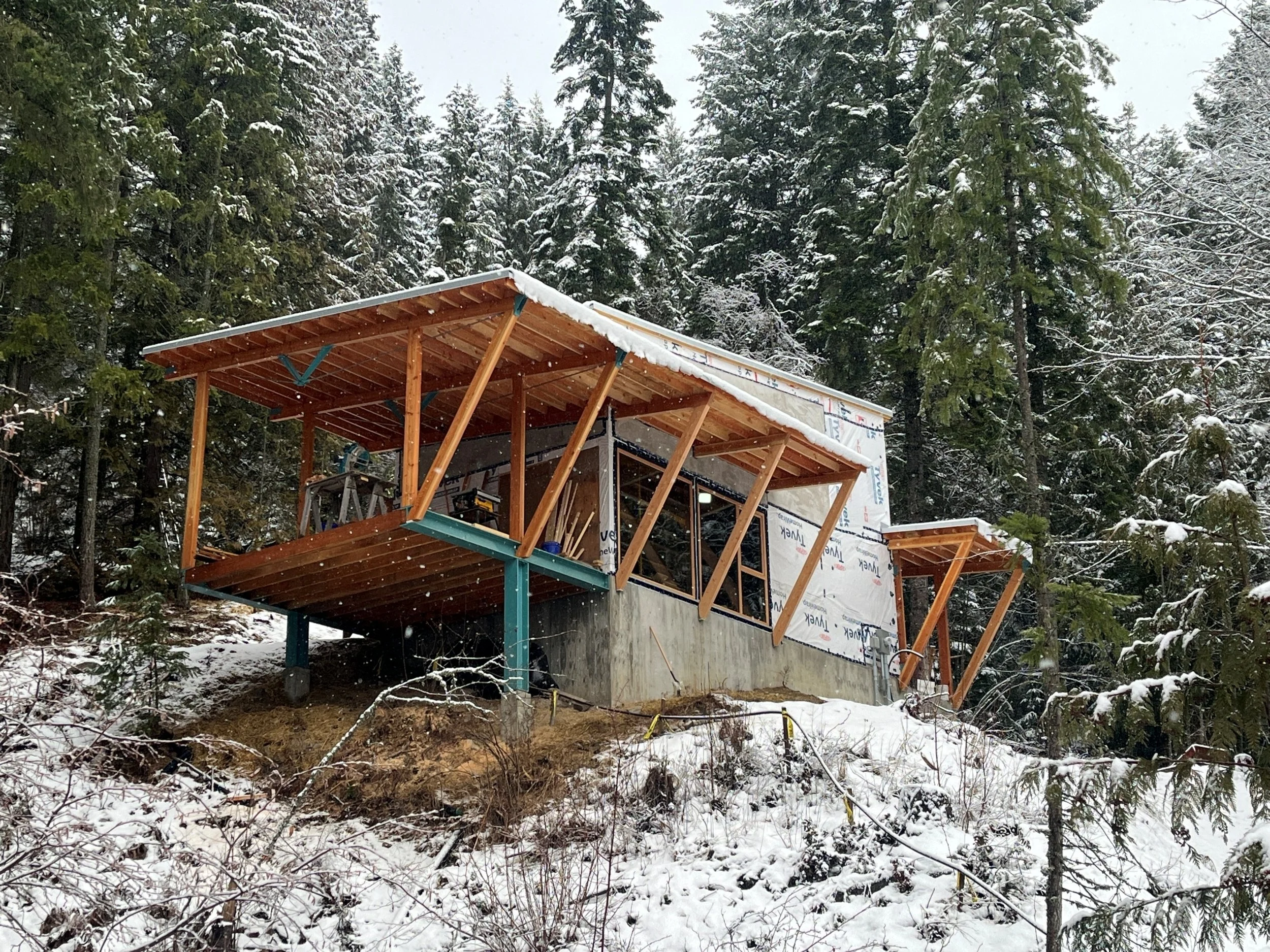 Snow fall at Steeps House, Kokanee Creek, BC