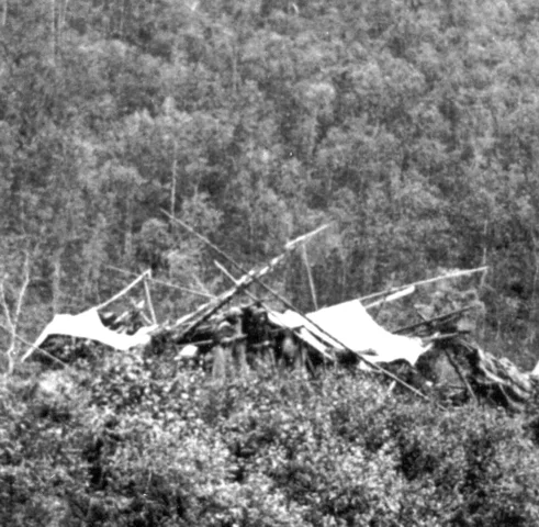 A crashed airplane in a forested area with damaged wings and tail, partially covered by bushes and trees.