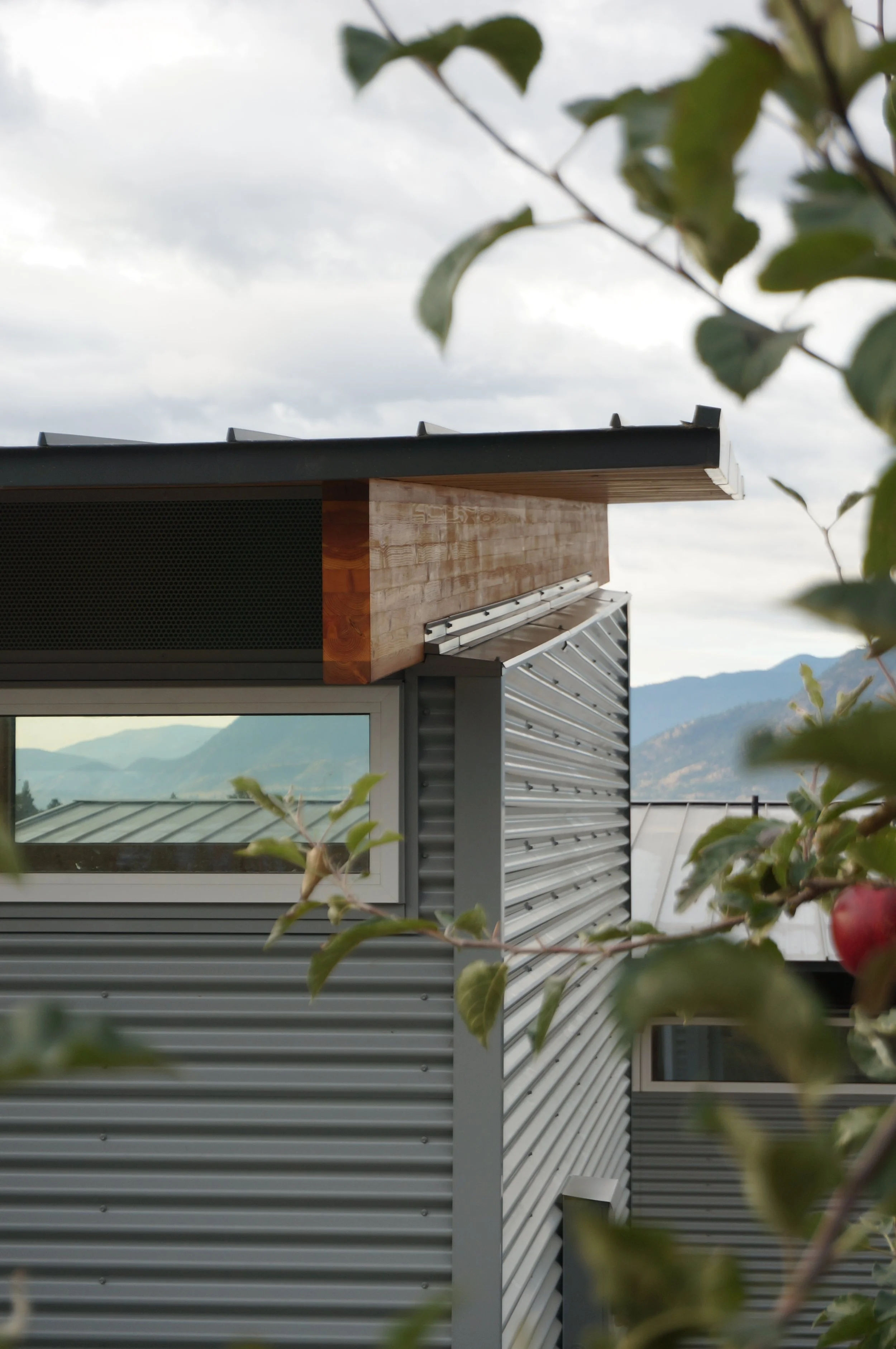 Close-up of a modern house with metal siding, a window, and a wooden facade under a cloudy sky, with mountains in the background and some green leaves and red fruit in the foreground.