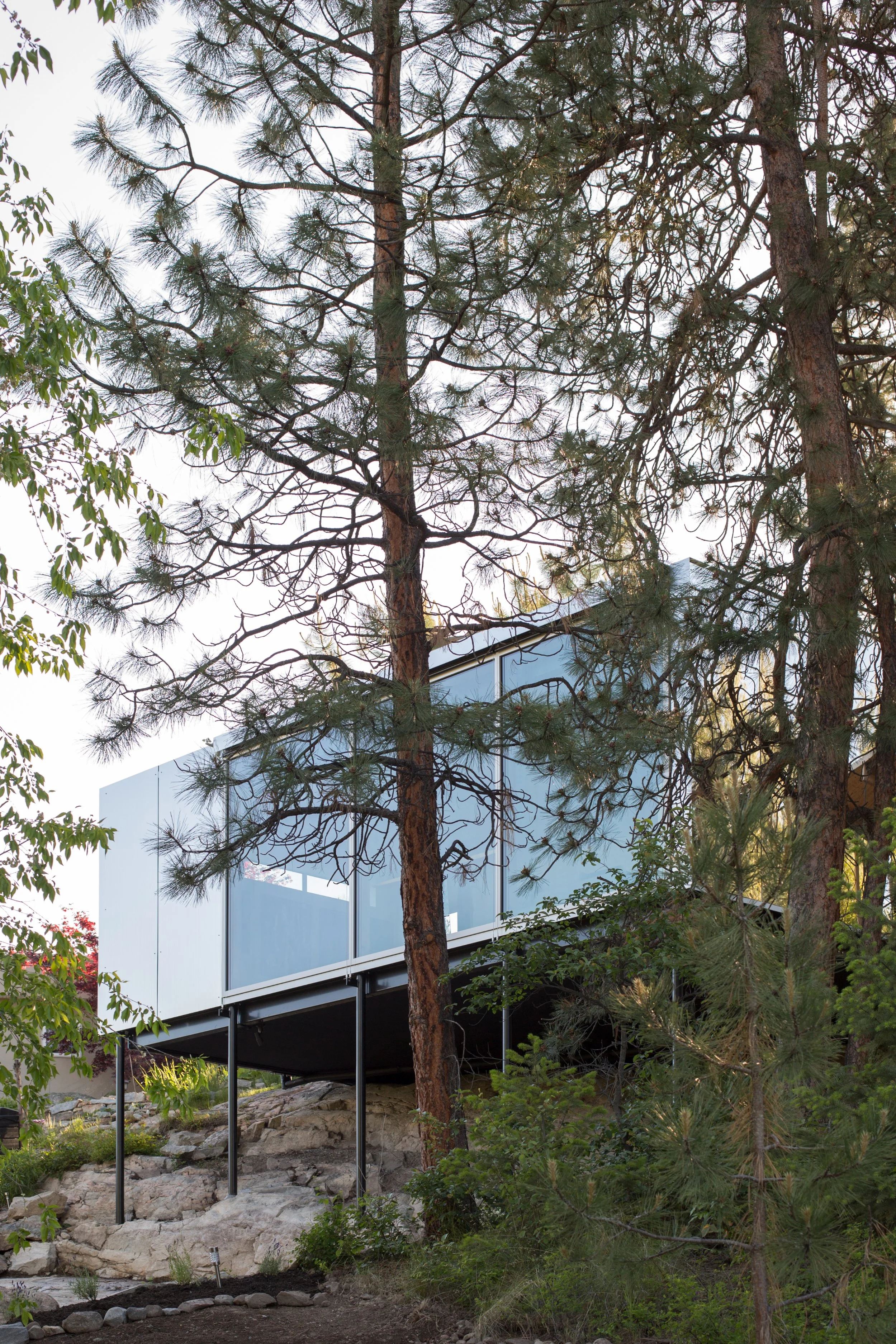 A modern house with large glass windows is elevated on supports above rocky terrain, surrounded by tall trees and greenery.