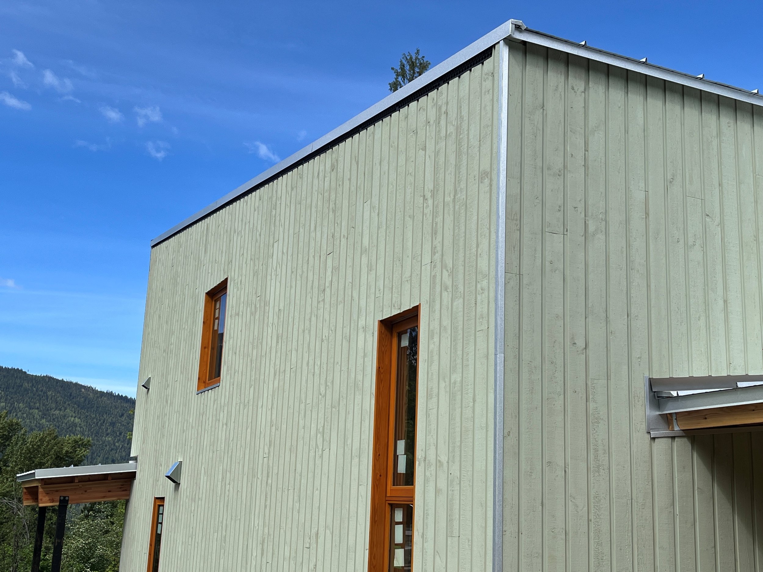 A modern house with vertical green siding, wooden window frames, and a sloped metal roof, set against a backdrop of blue sky and green mountains.