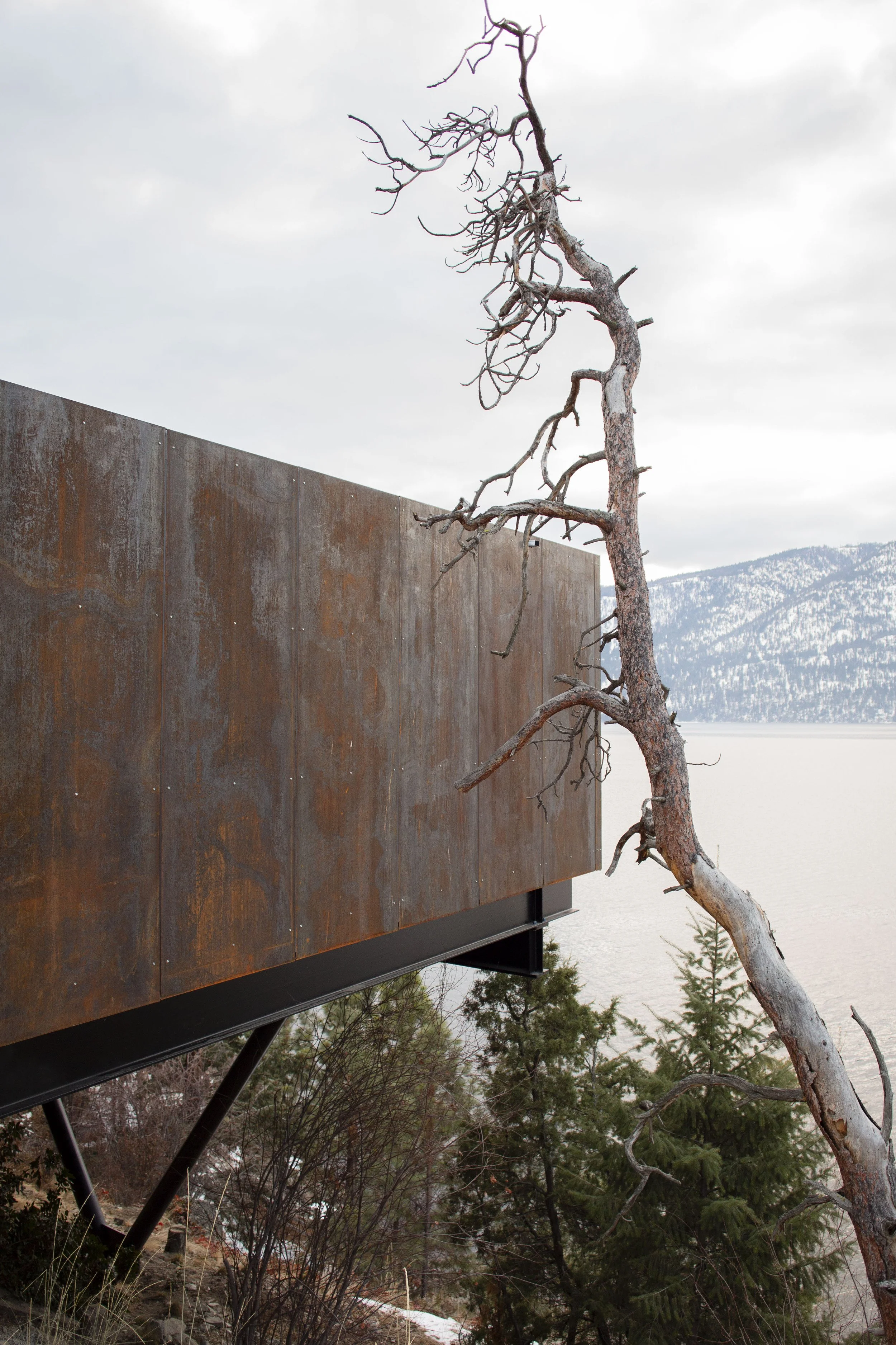 A leafless, dead tree contrasted against a modern, rust-colored metal building with mountains and a lake in the background.