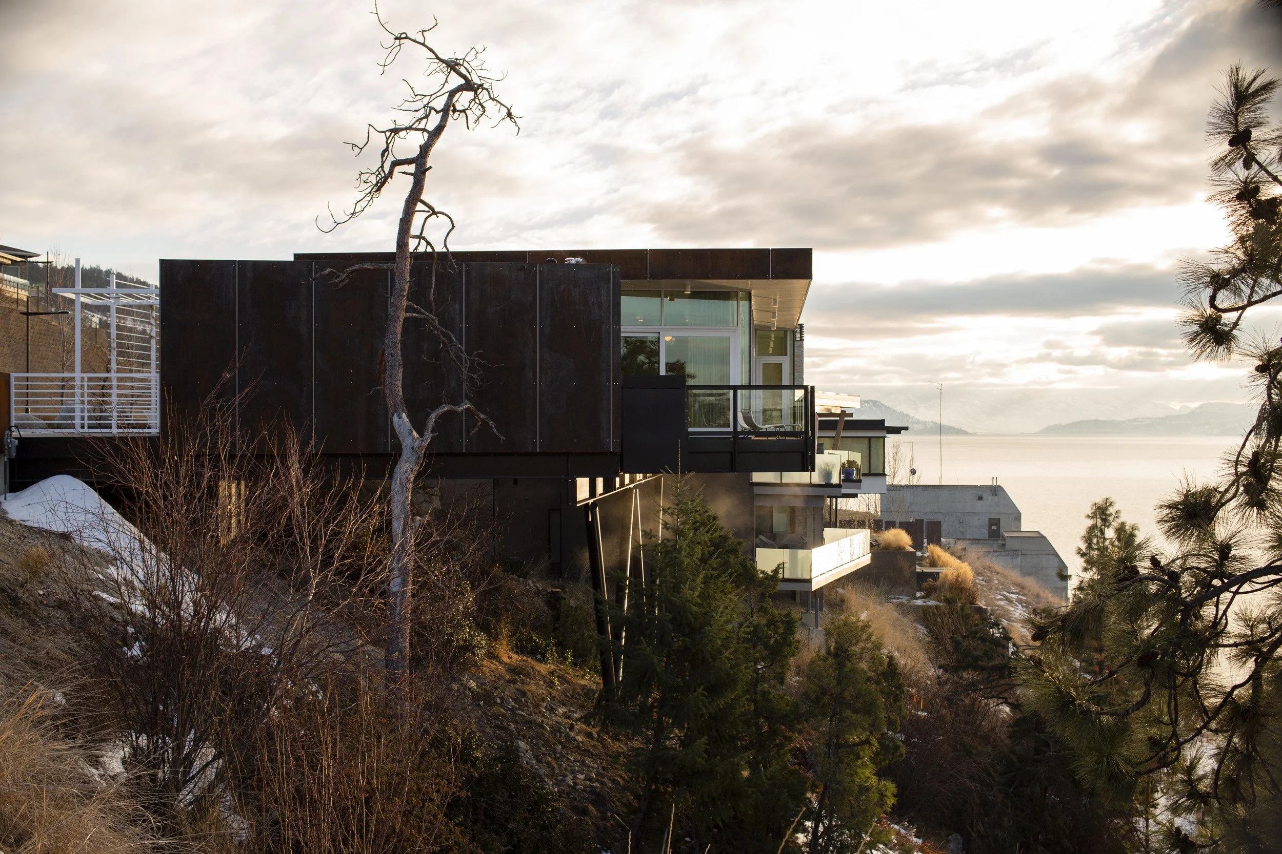 Modern black house with large glass windows on a hillside, overlooking water and distant mountains, with a leafless tree and evergreen trees in the foreground, cloudy sky