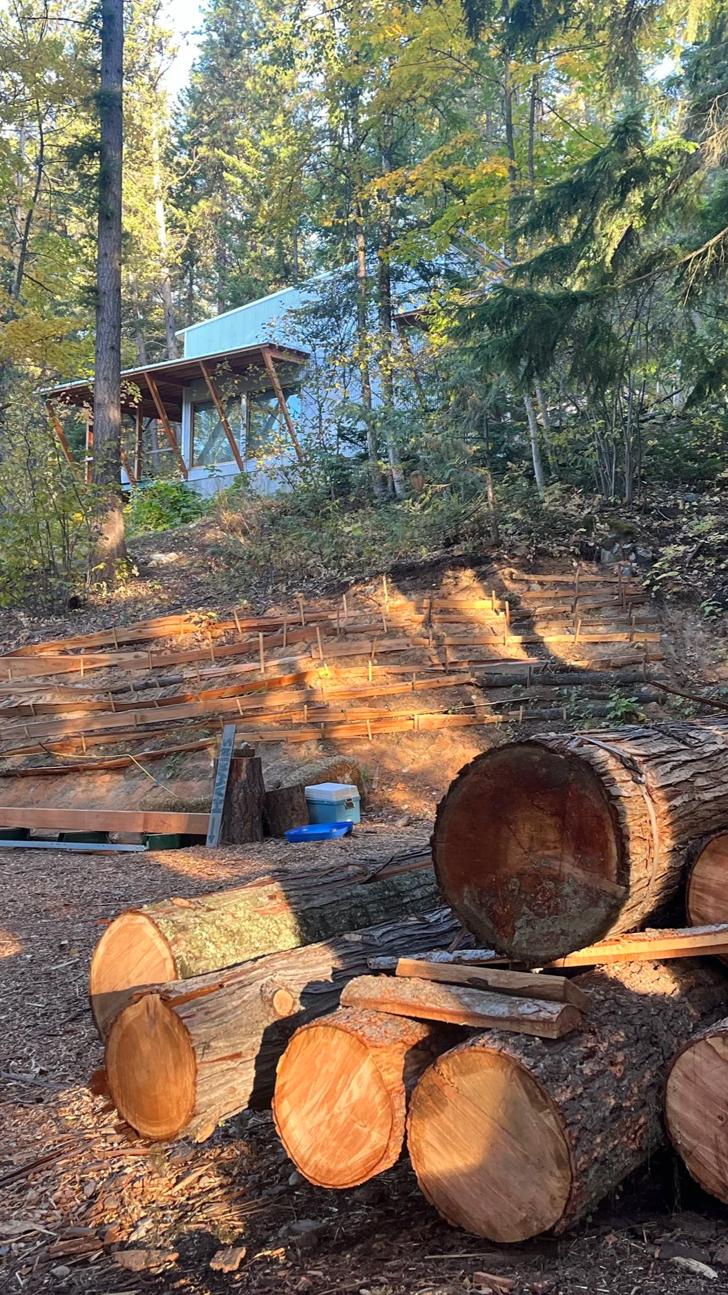Stacked logs and cut wood in a wooded area with a house or cabin on a hill in the background.