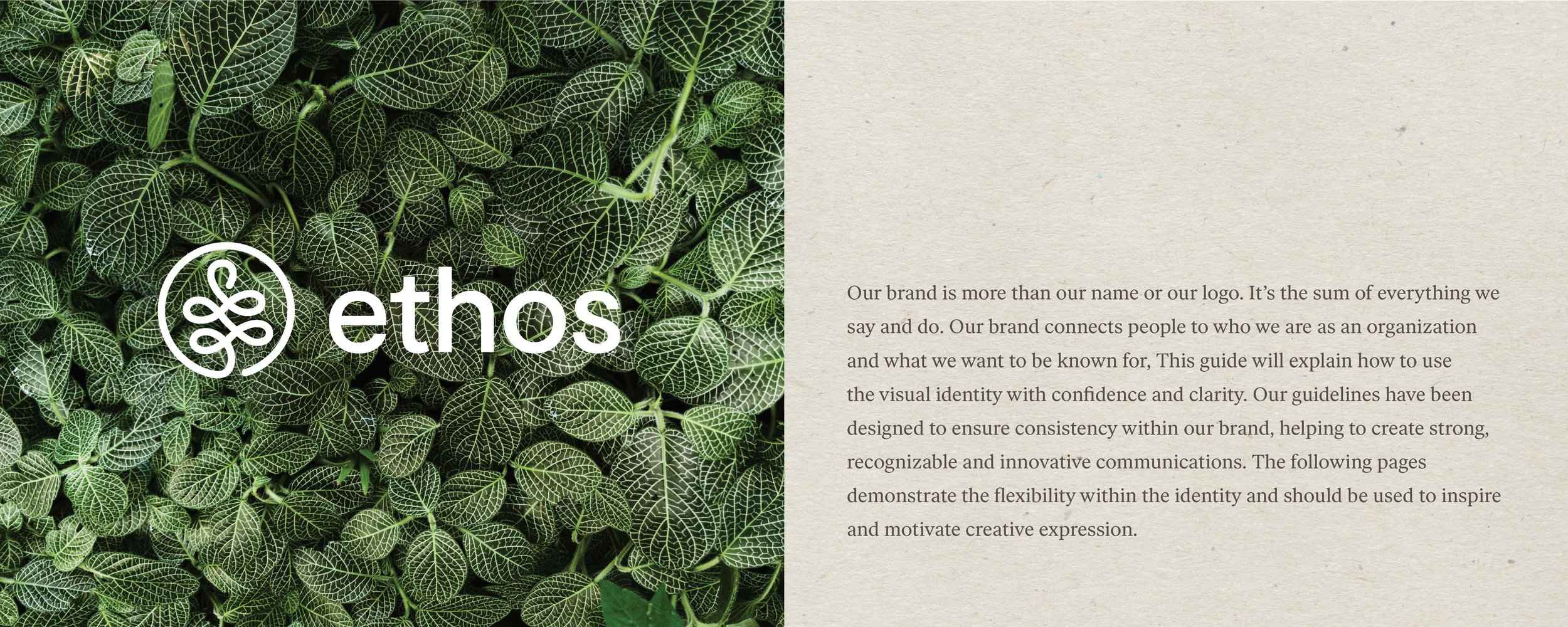 Ethos_DesignManual_Page_1.jpg